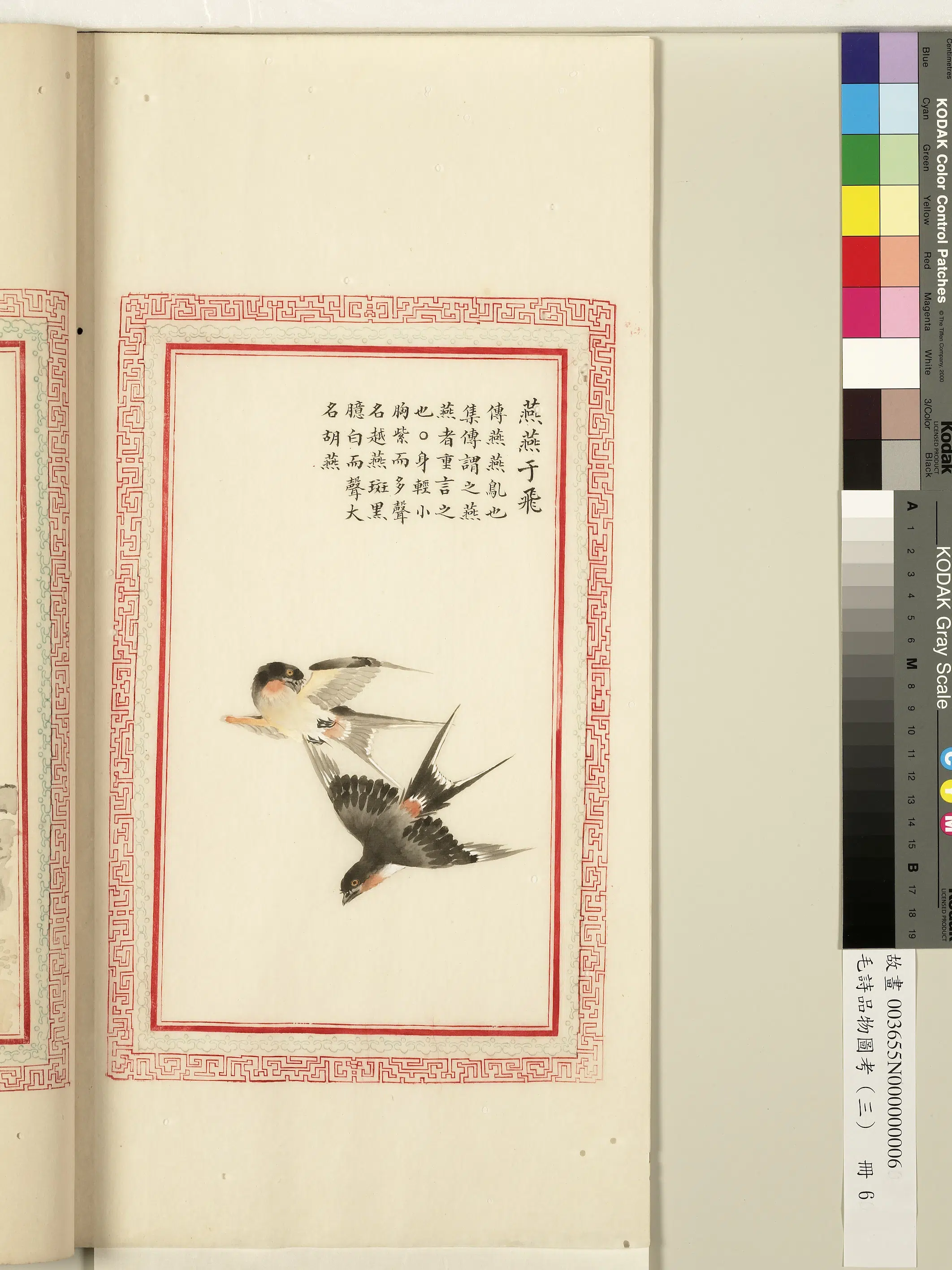 清代《毛诗品物图考(三)册-1》 第31张 清代《毛诗品物图考(三)册-1》 第31张