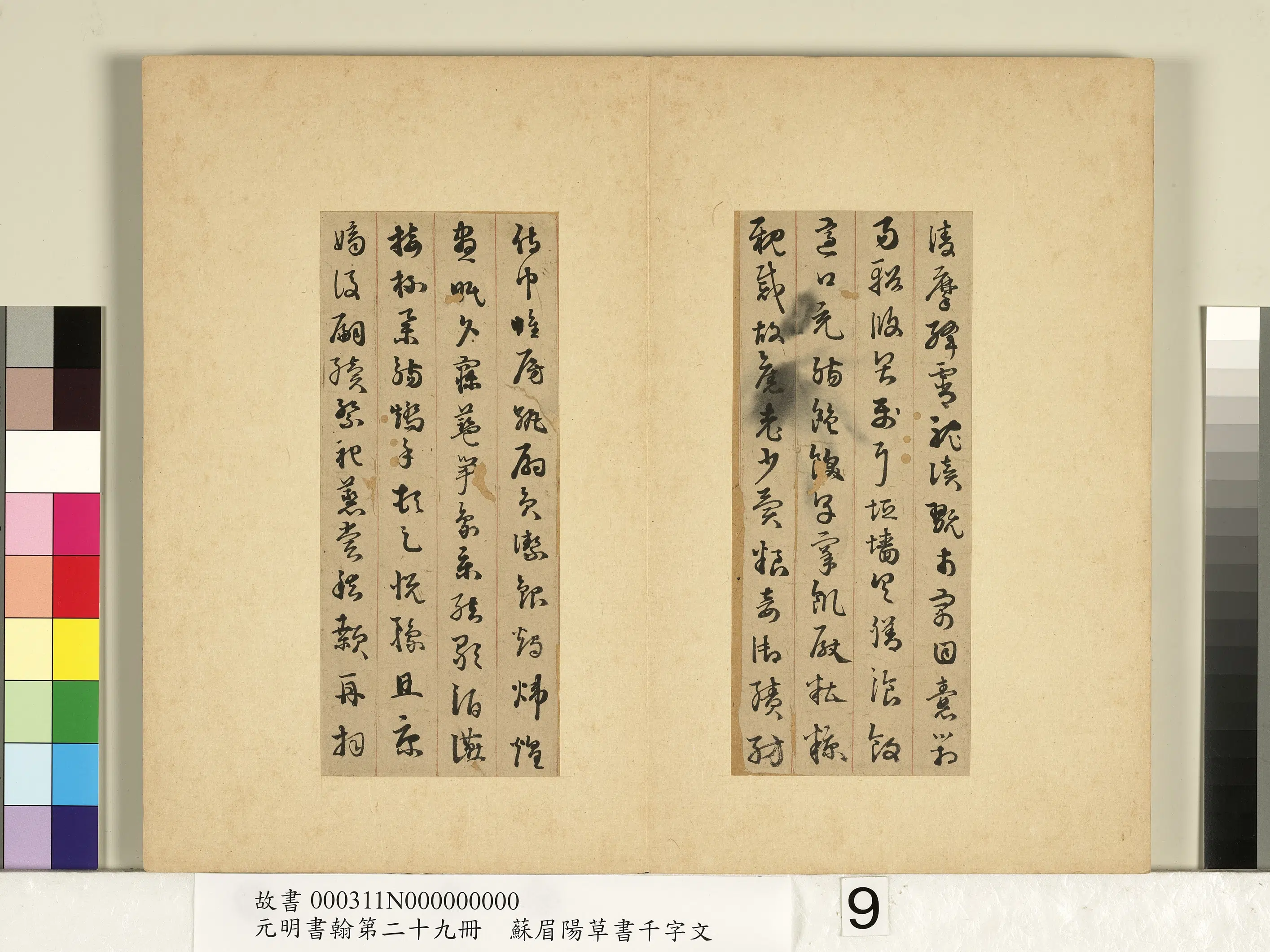 明朝【苏眉阳】《元明书翰第二十九册-草书千字文》 第11张