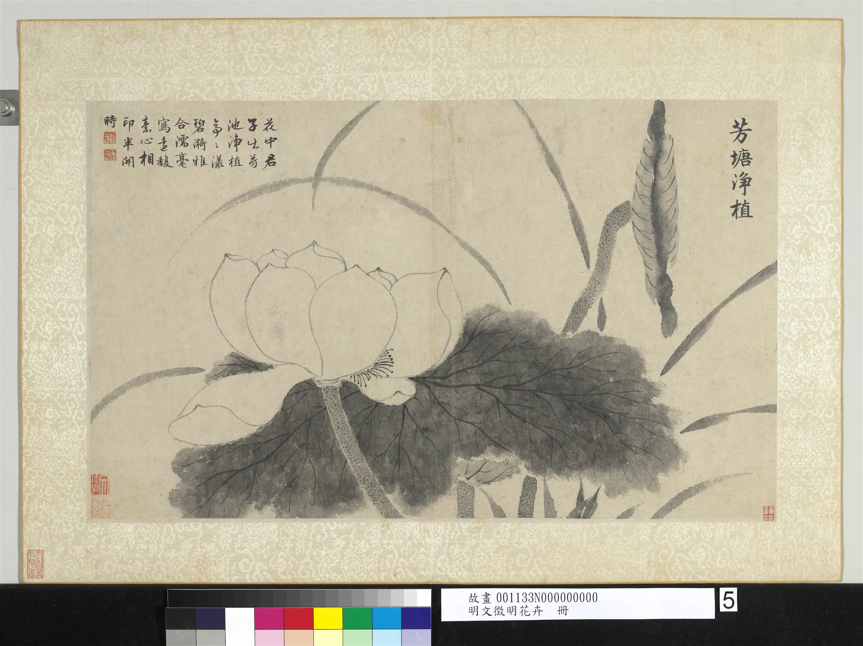 明朝【文征明徵明】《花卉册》 第10张 明朝【文征明徵明】《花卉册》 第10张