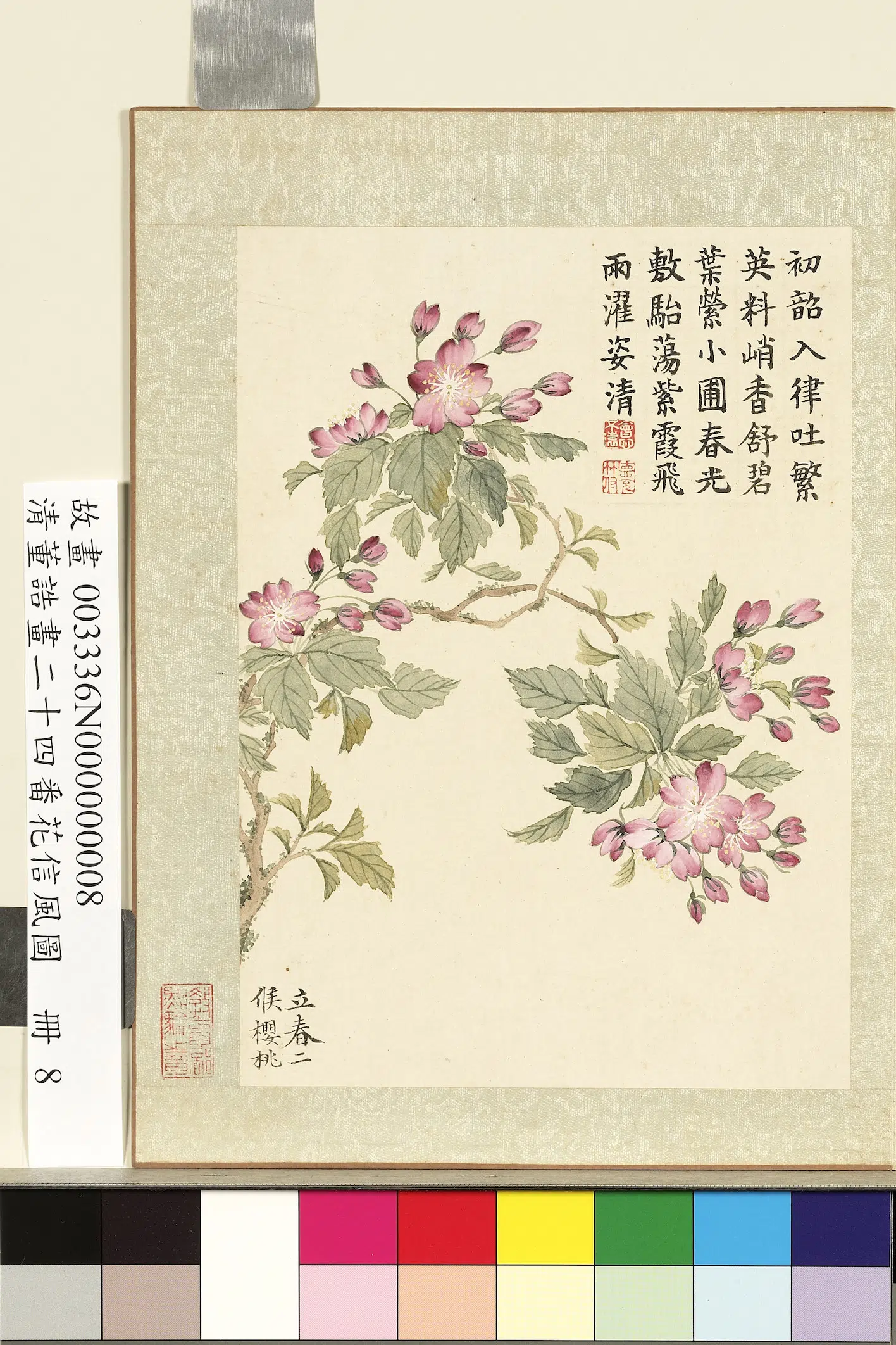 清代【董诰】《画二十四番花信风图册-立春二候樱桃》 第1张 清代【董诰】《画二十四番花信风图册-立春二候樱桃》 第1张