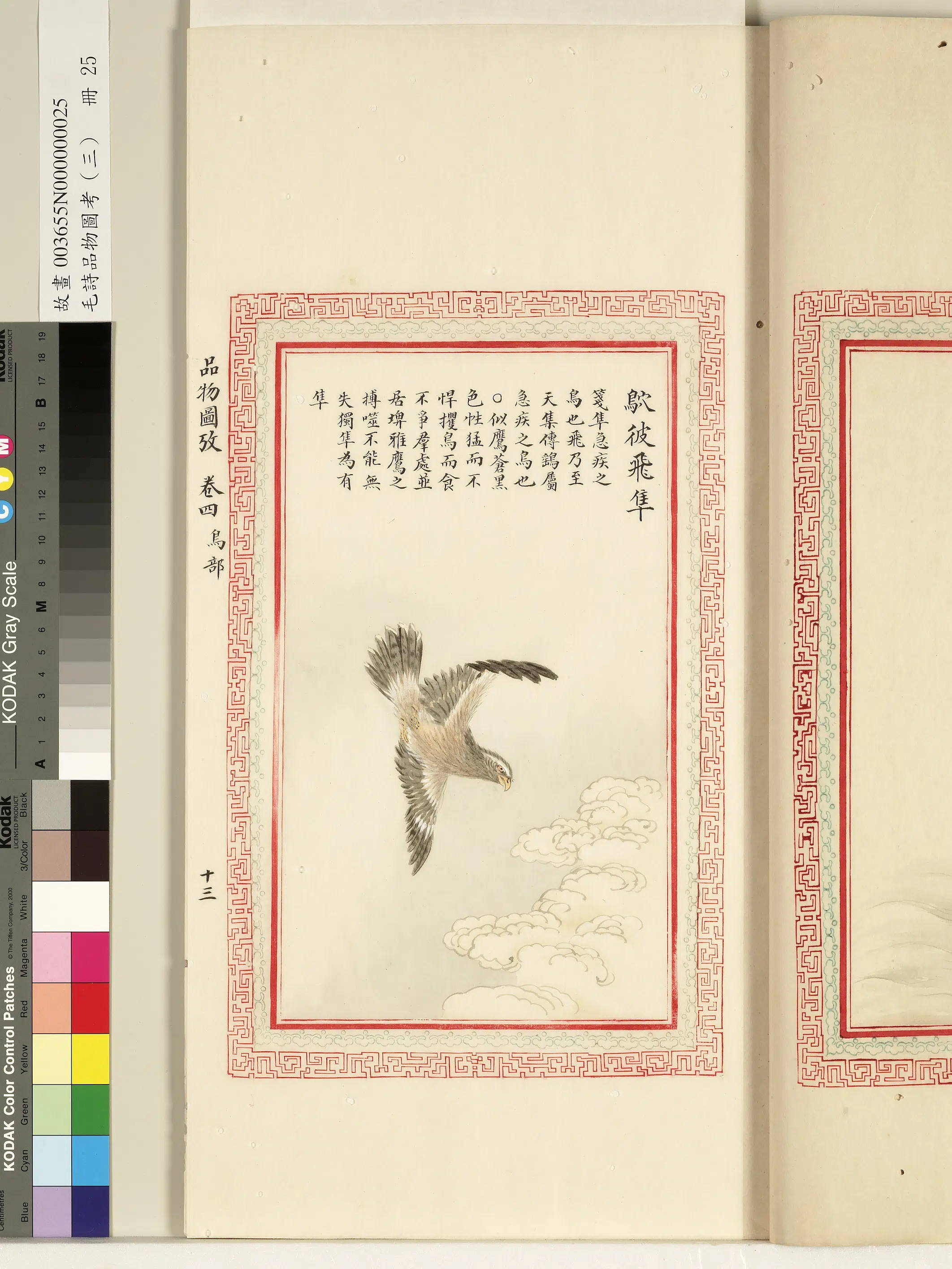 清代《毛诗品物图考(三)册-1》 第51张 清代《毛诗品物图考(三)册-1》 第51张