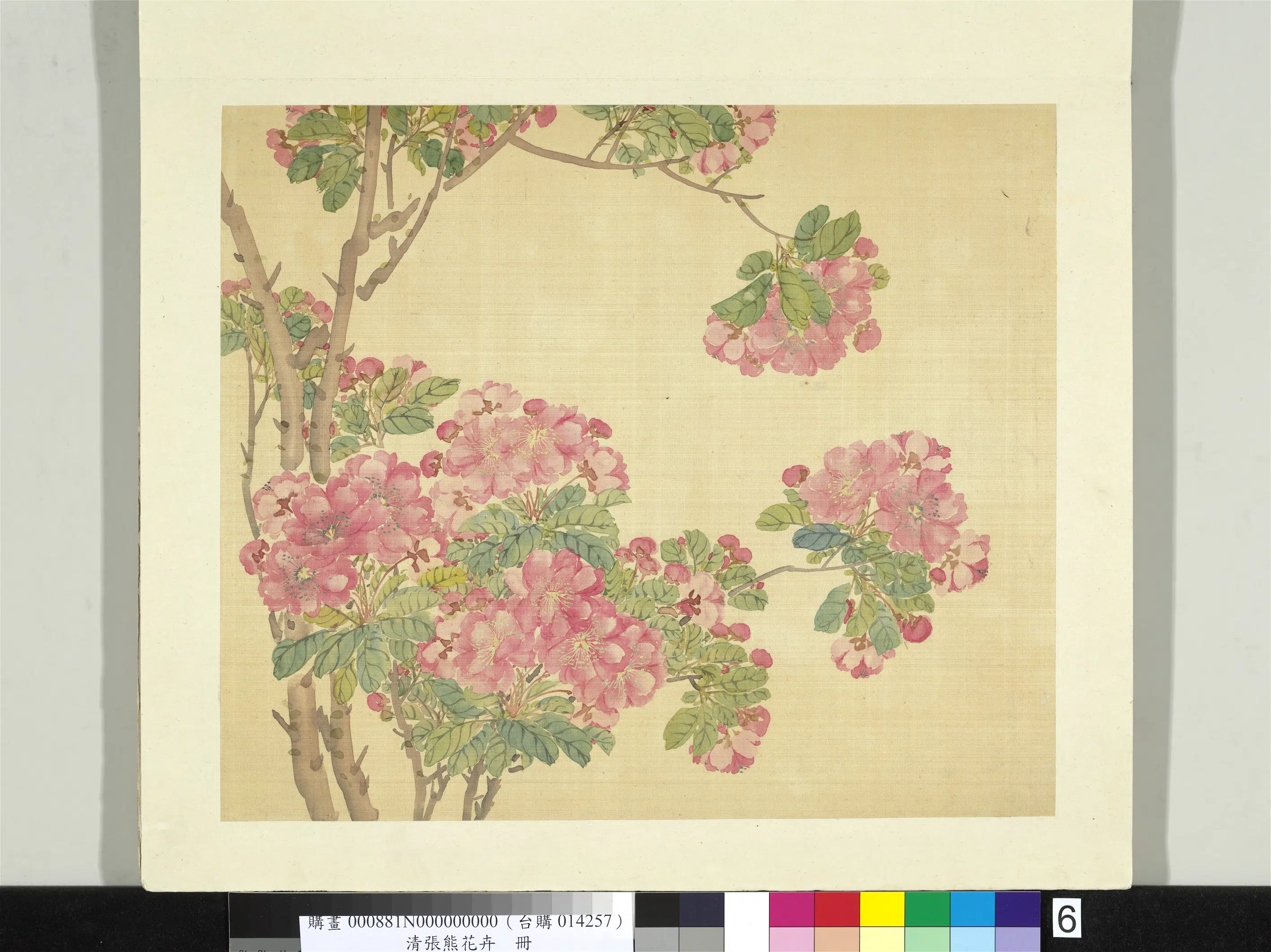 清代【张熊】《花卉册-海棠》 第1张