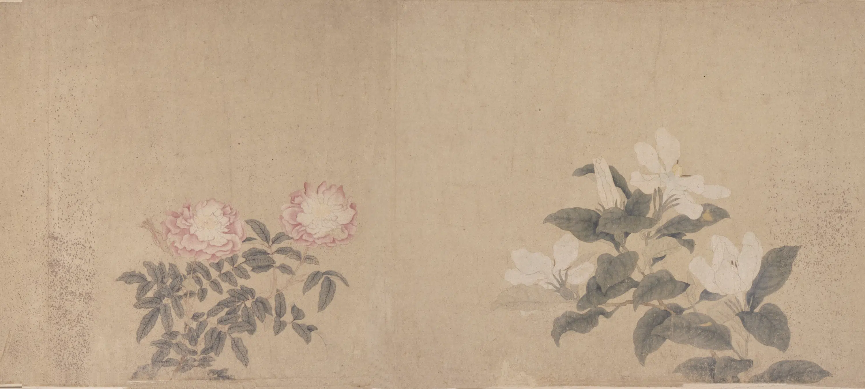 元朝【钱选】《八花图卷》 第2张