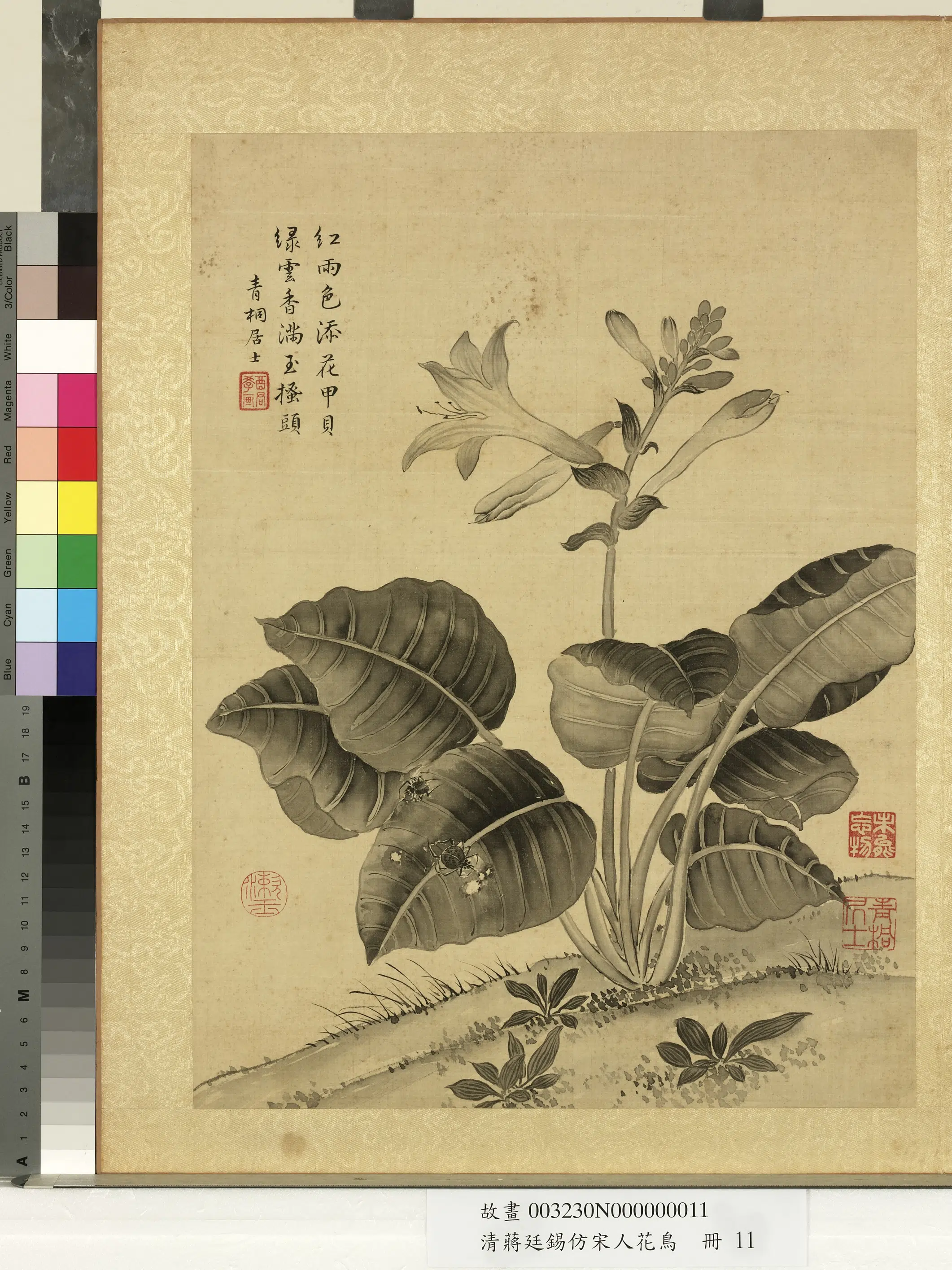 清代【蒋廷锡】《仿宋人花鸟册》 第5张