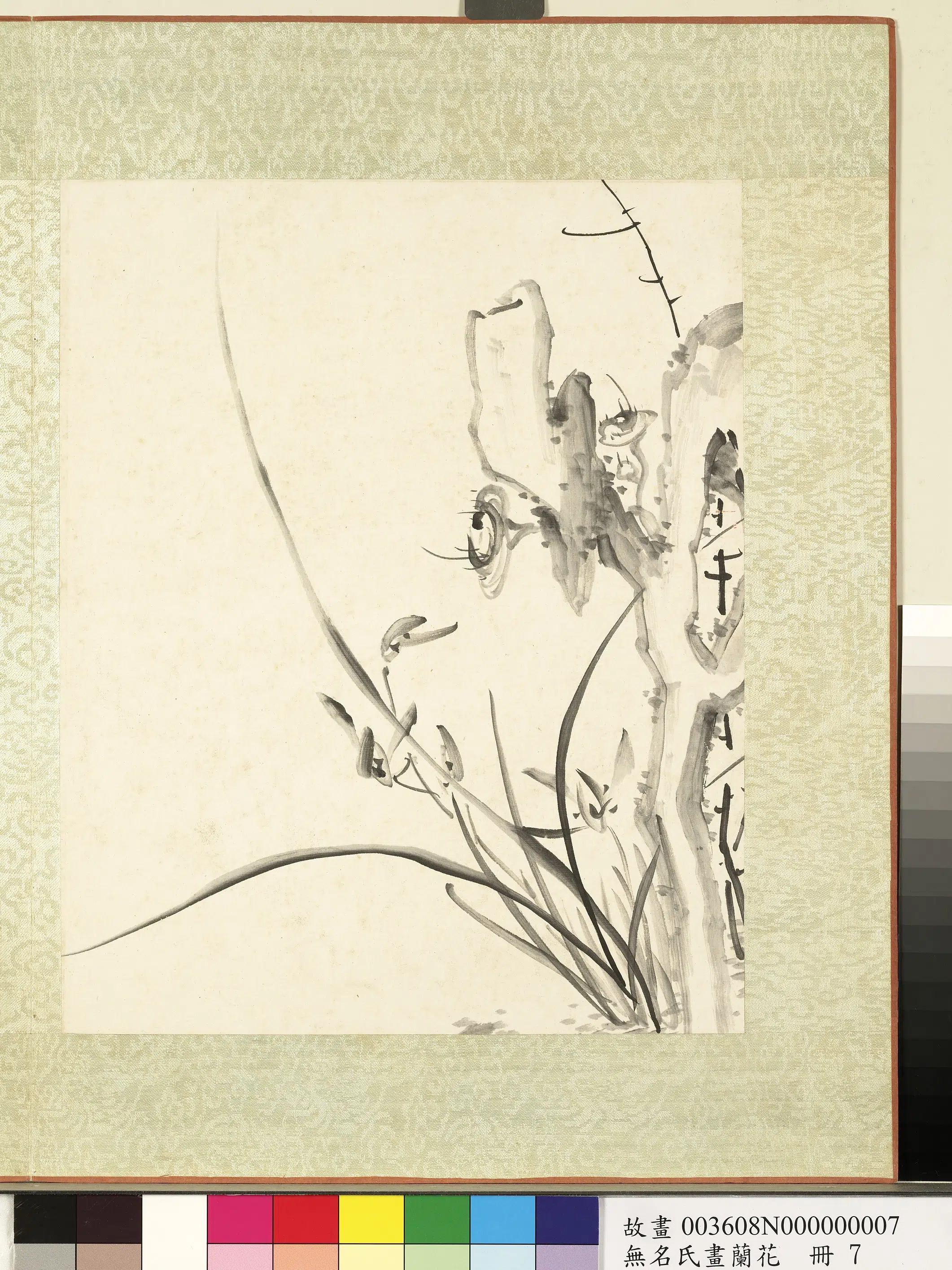 《无名氏画兰花册-兰花（十三）》