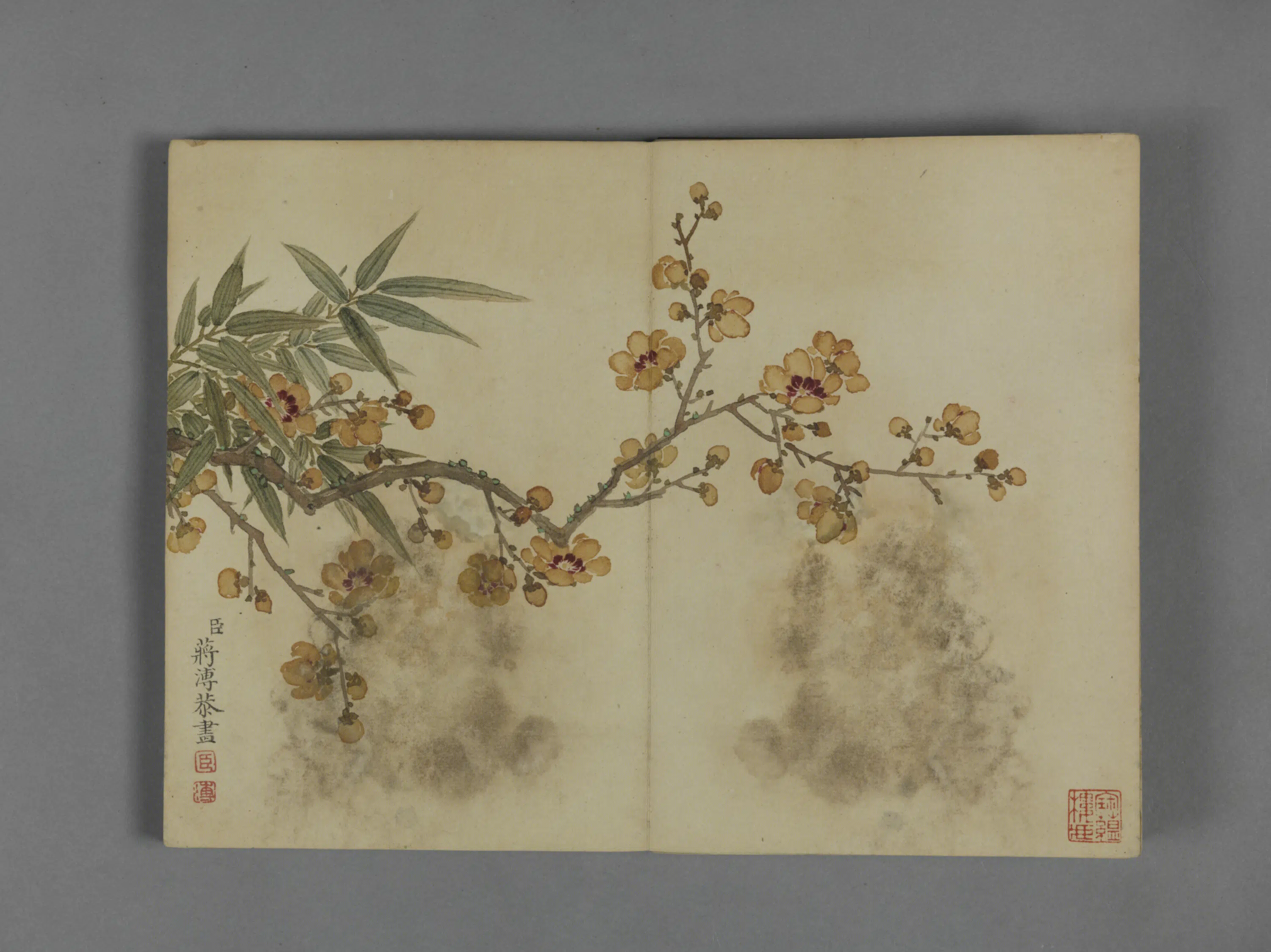清代【蒋溥】《花卉图册（8开）》 第8张