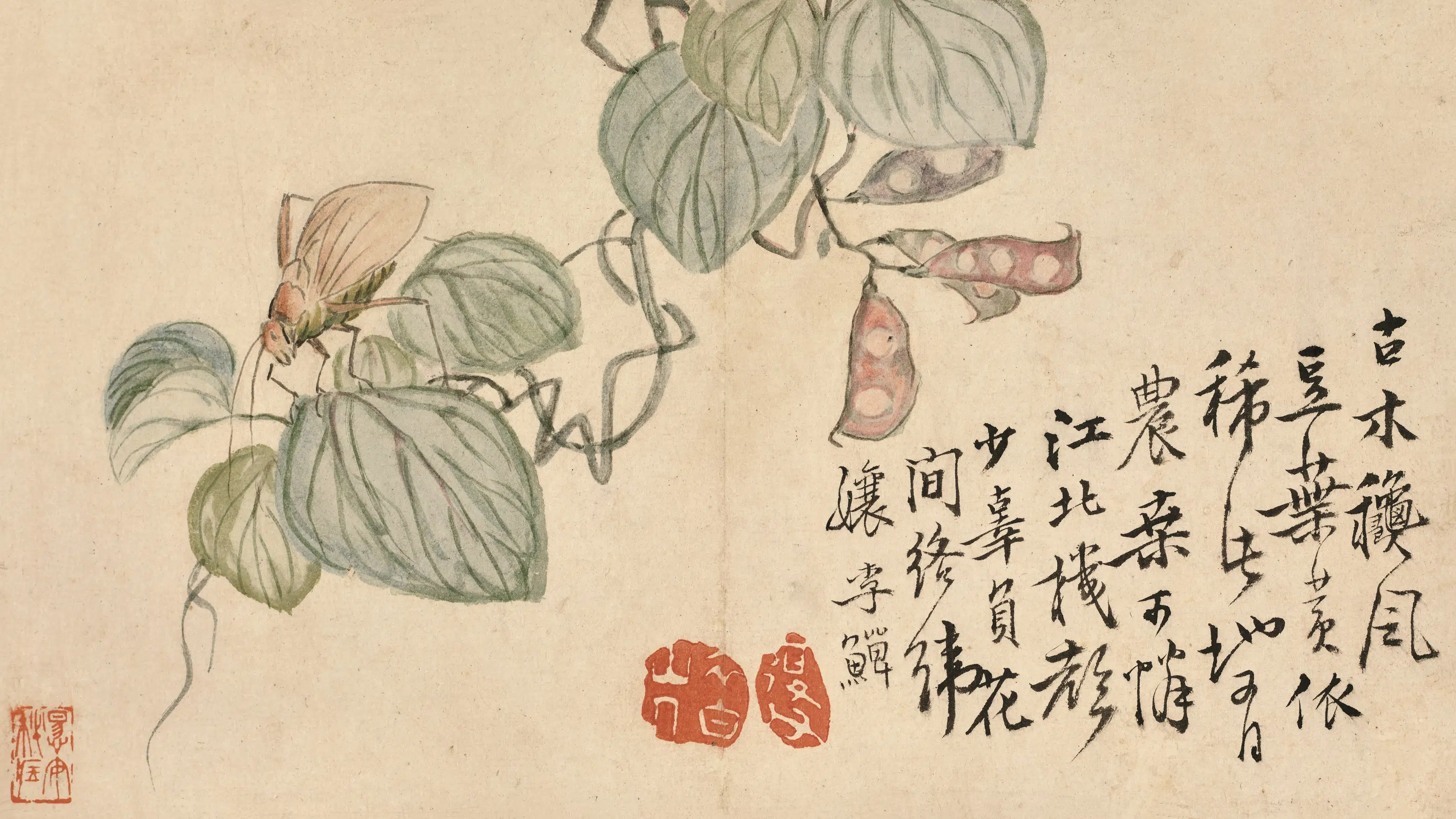 清代【李鱓】《花鸟草虫图册》 第8张