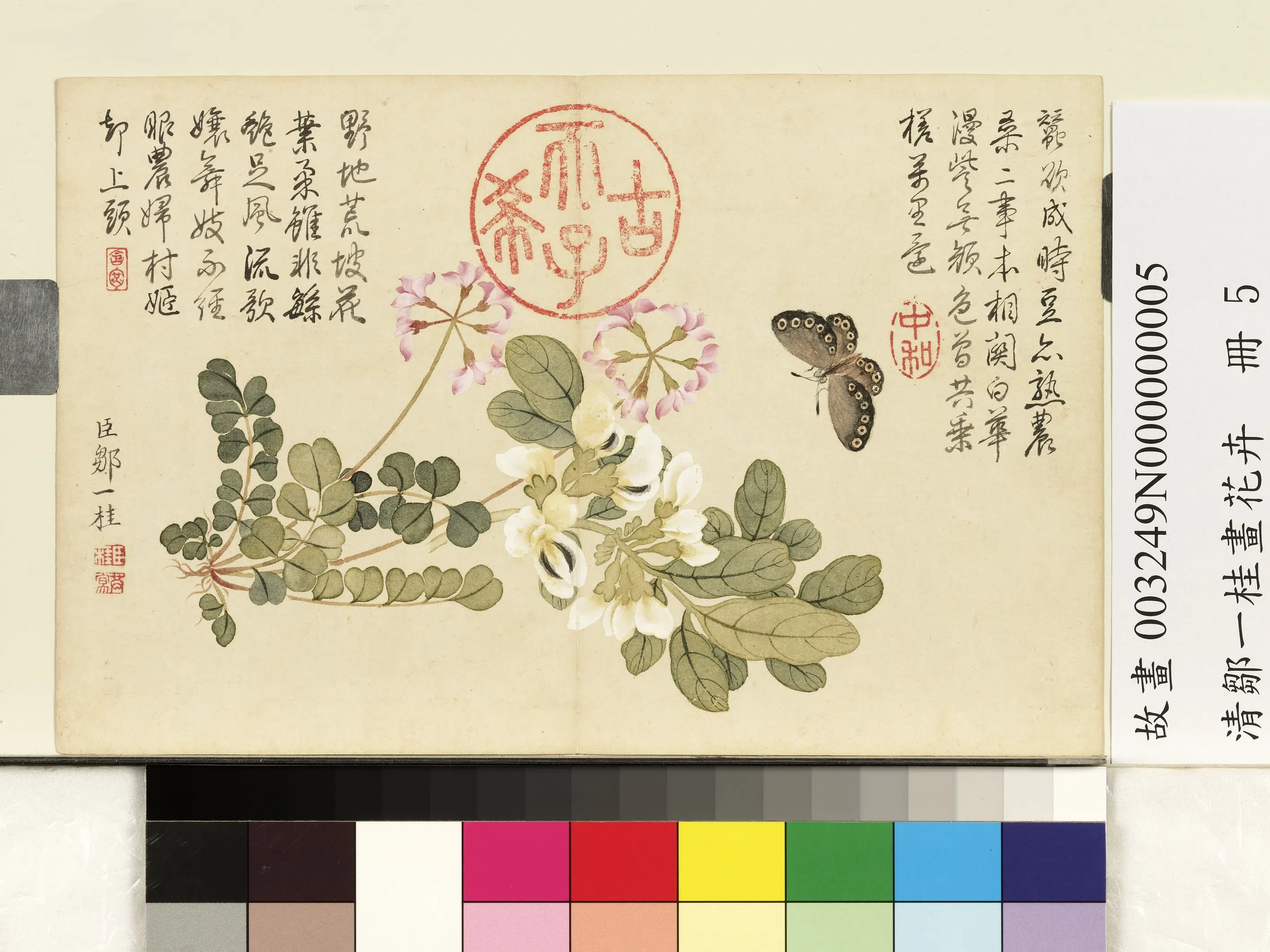 清代【邹一桂】《画花卉册》 第7张 清代【邹一桂】《画花卉册》 第7张