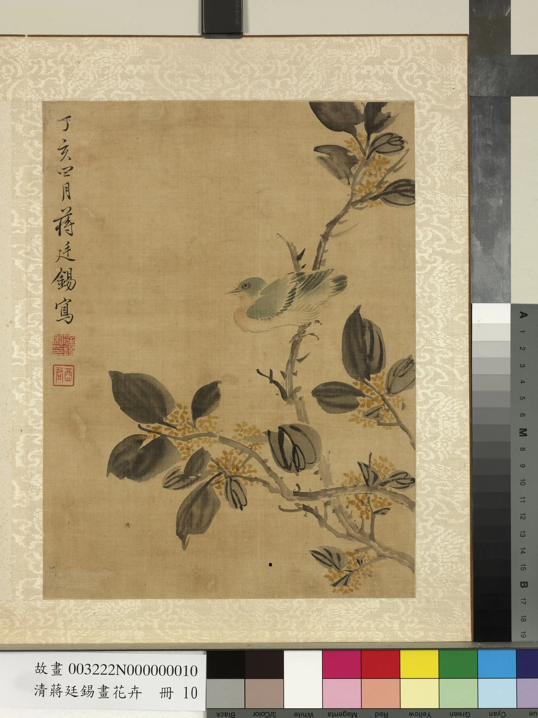 清代【蒋廷锡】《画花卉册》 第4张