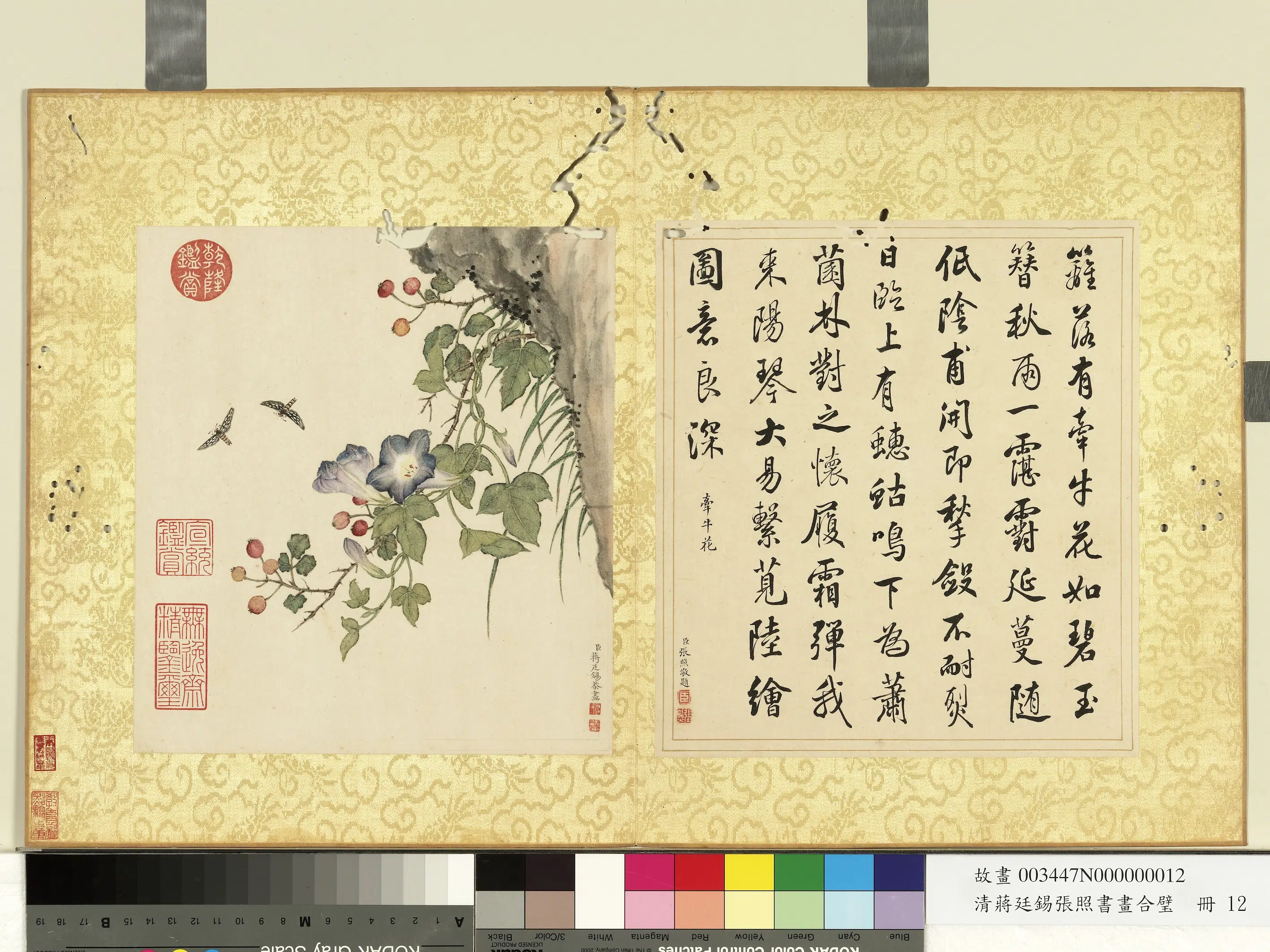 清代【张照蒋廷锡】《蒋廷锡张照书画合璧册》 第4张