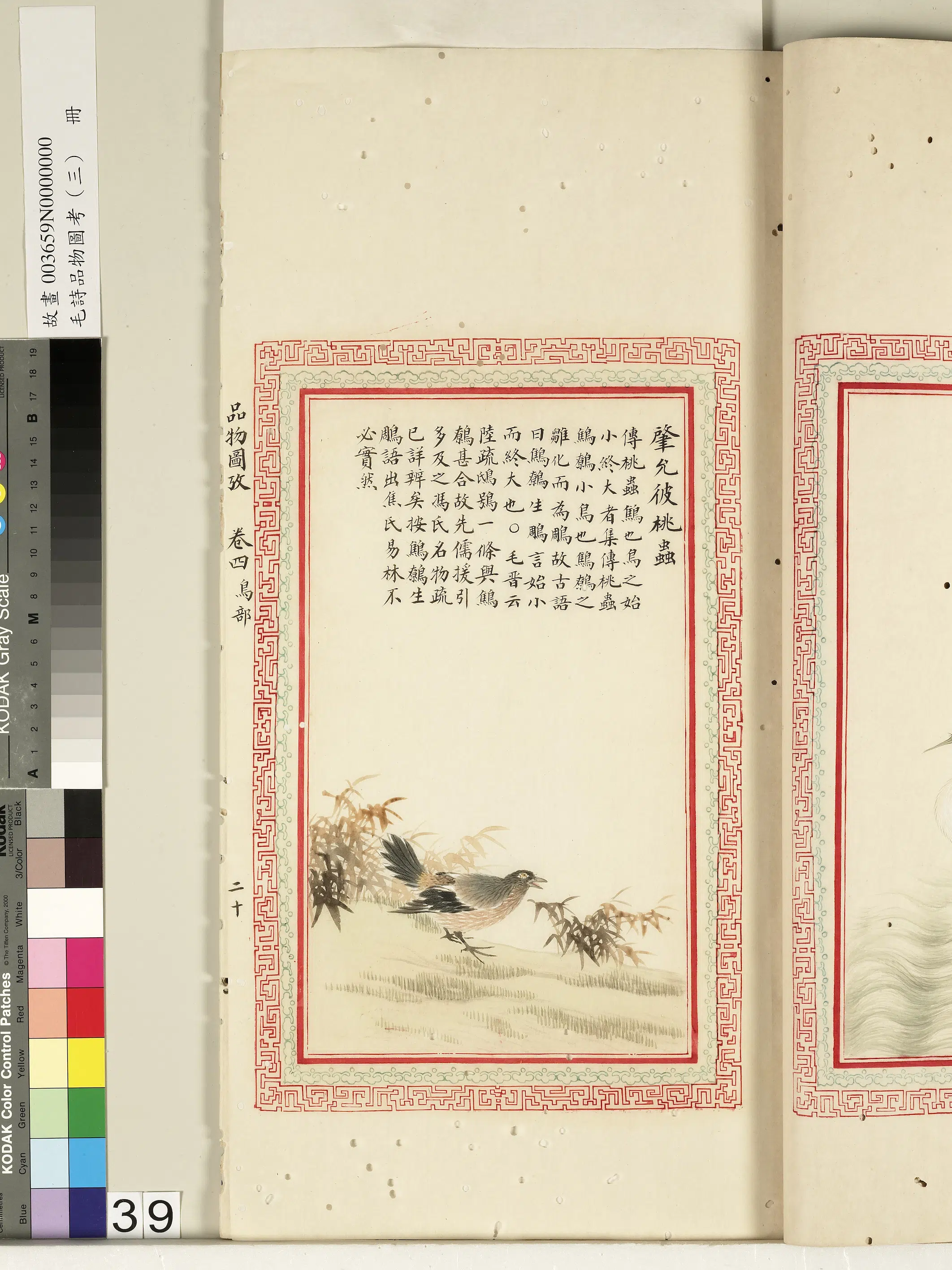 清朝【佚名】《毛诗品物图考（三）册-肇允彼桃虫-2》
