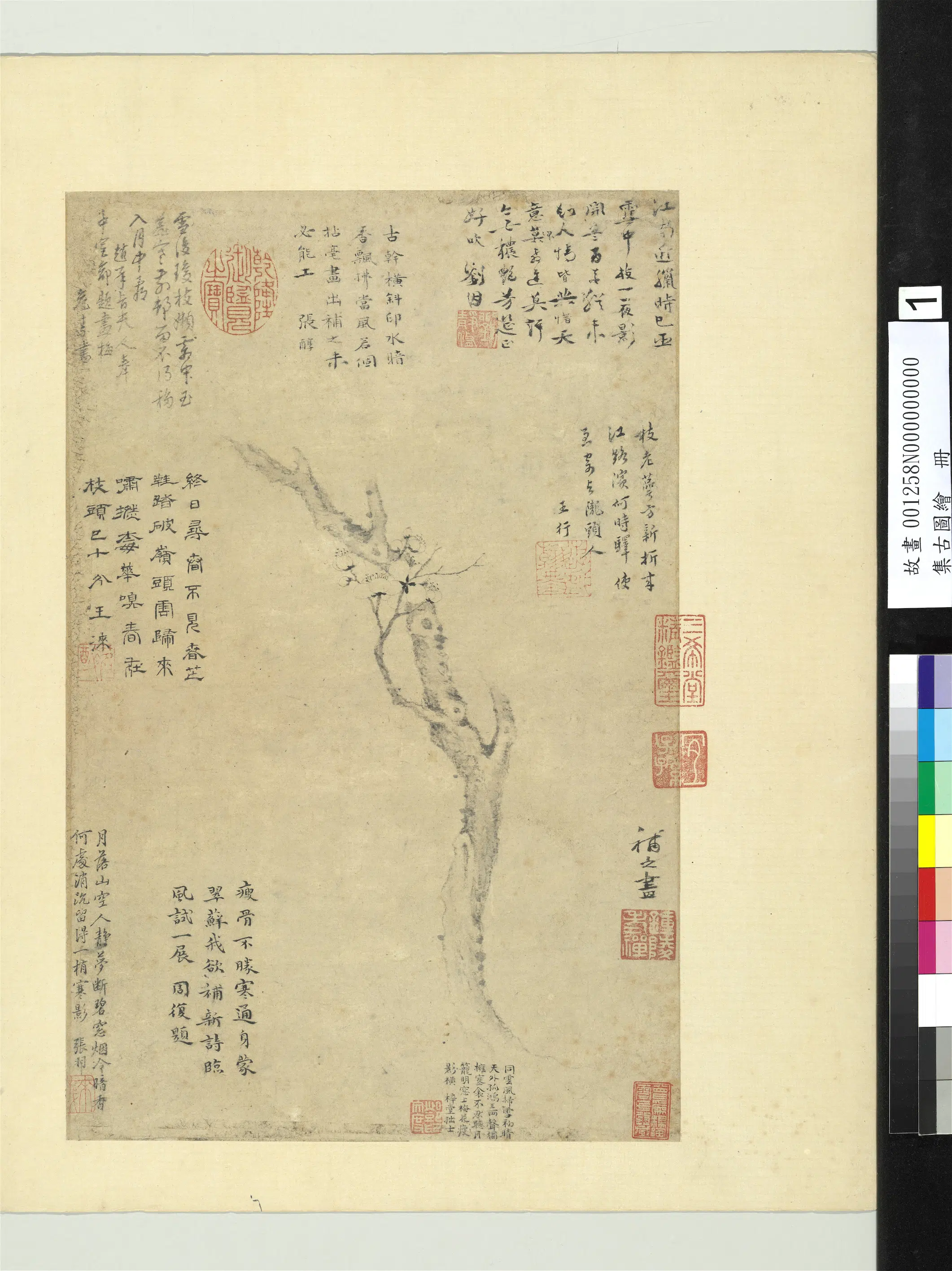 宋朝【扬无咎】《集古图绘册-梅花》