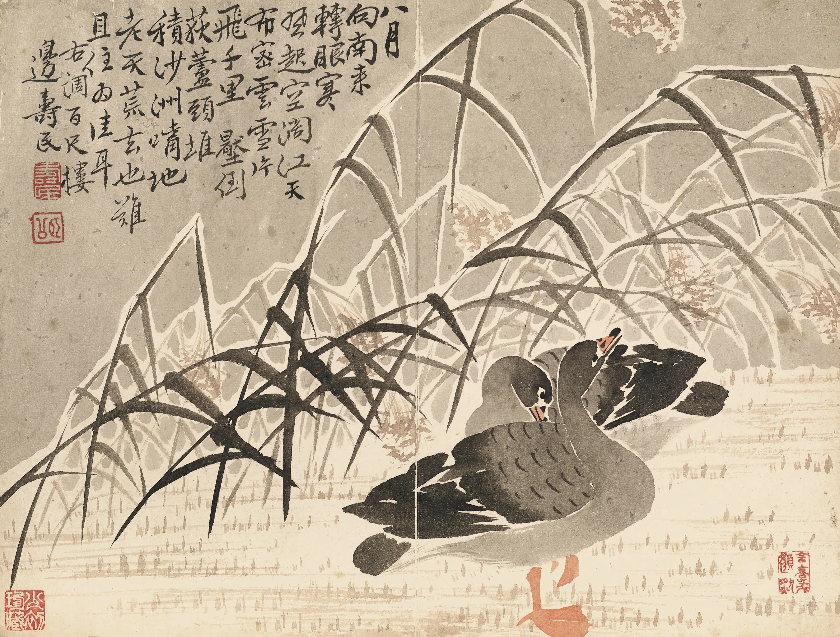 清代【边寿民】《合影芦雁图册》 第3张