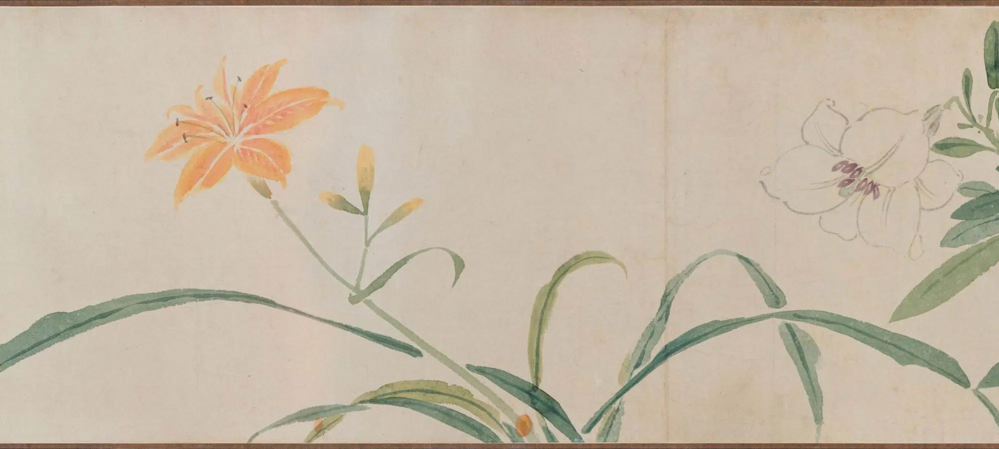 明朝【孙克弘】《花卉图卷》 第7张 明朝【孙克弘】《花卉图卷》 第7张