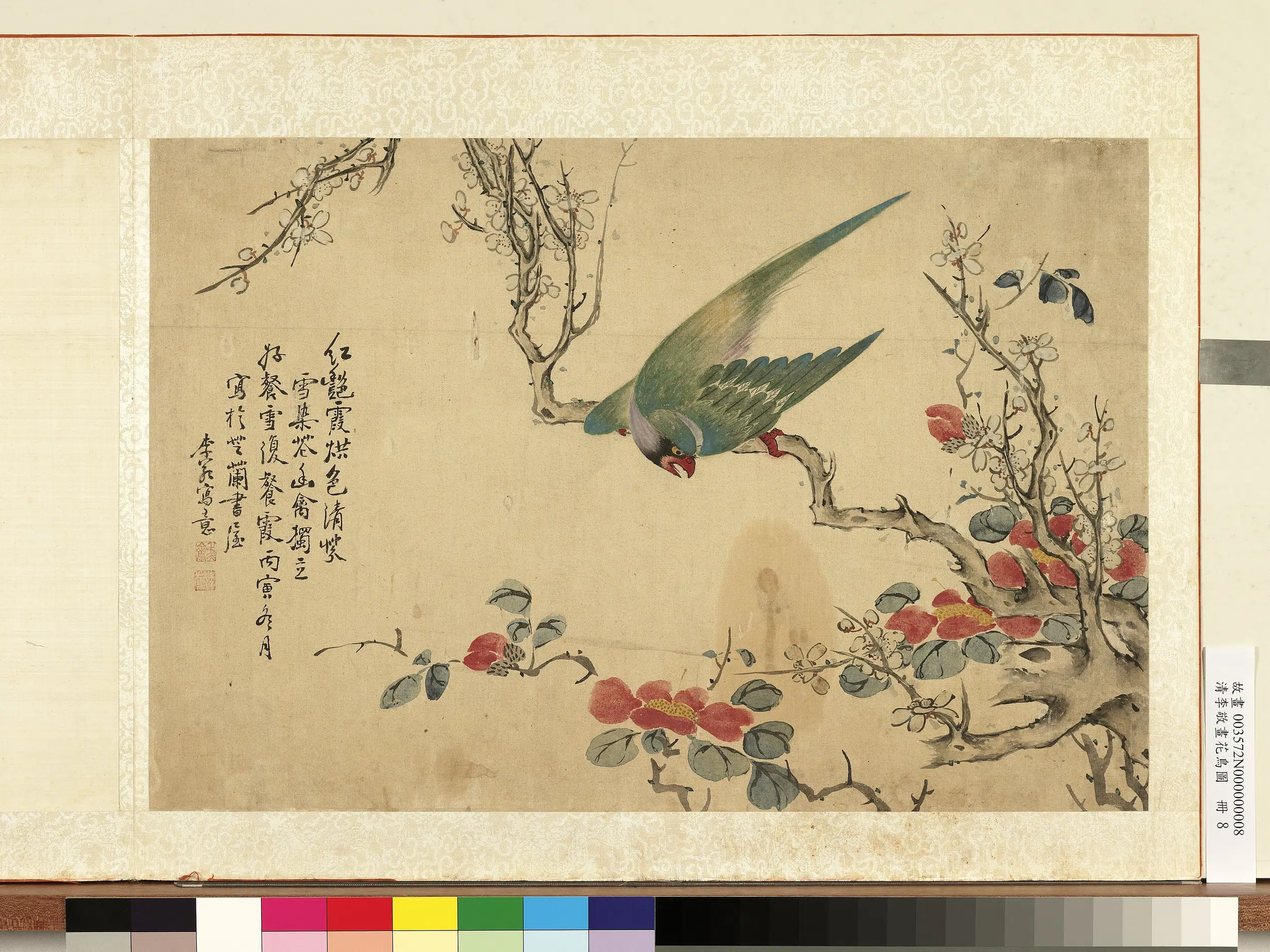 清代【李敬】《画花鸟图册-白梅鹦鹉》