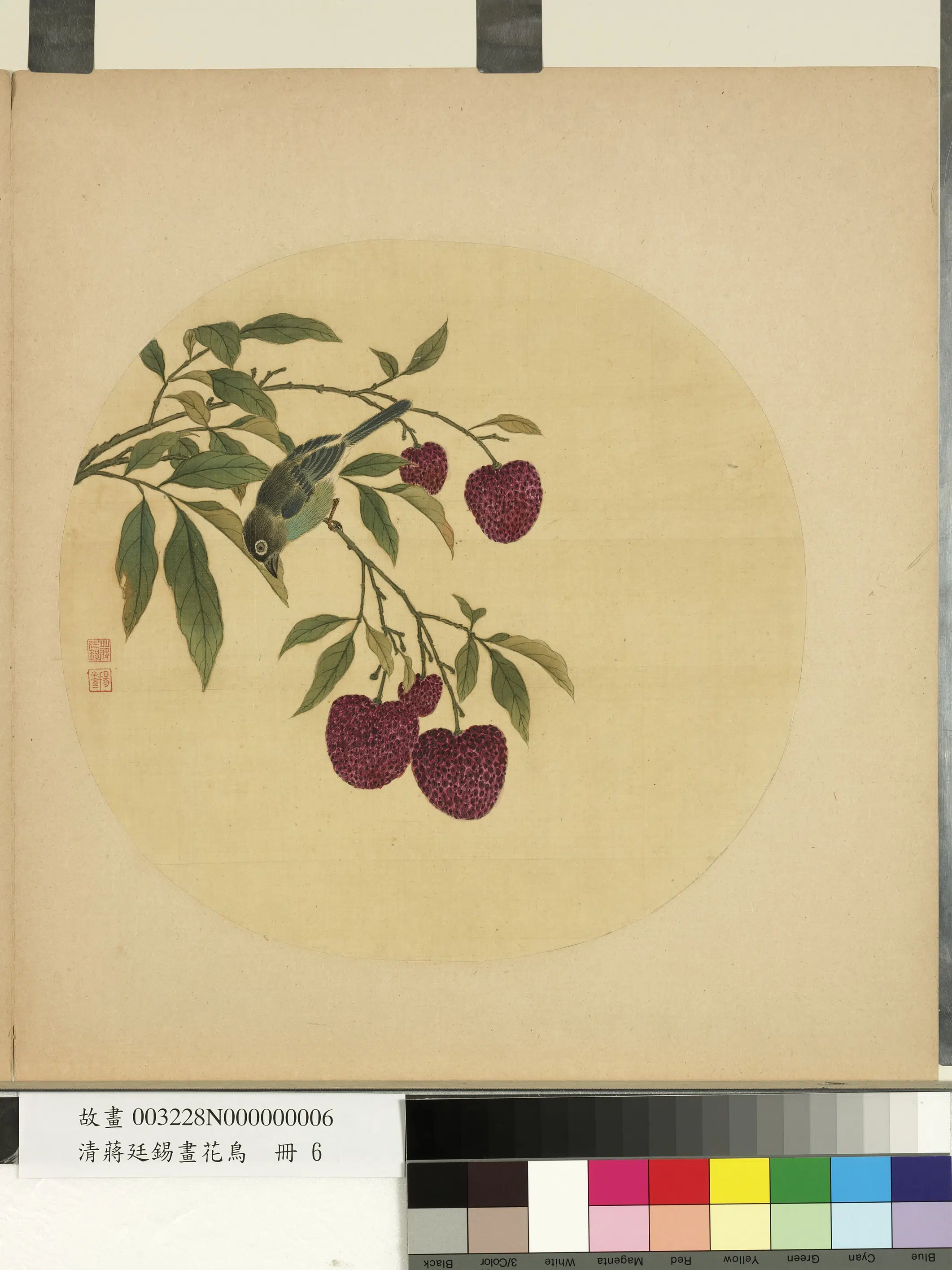 清代【蒋廷锡】《画花鸟册-2》 第10张 清代【蒋廷锡】《画花鸟册-2》 第10张