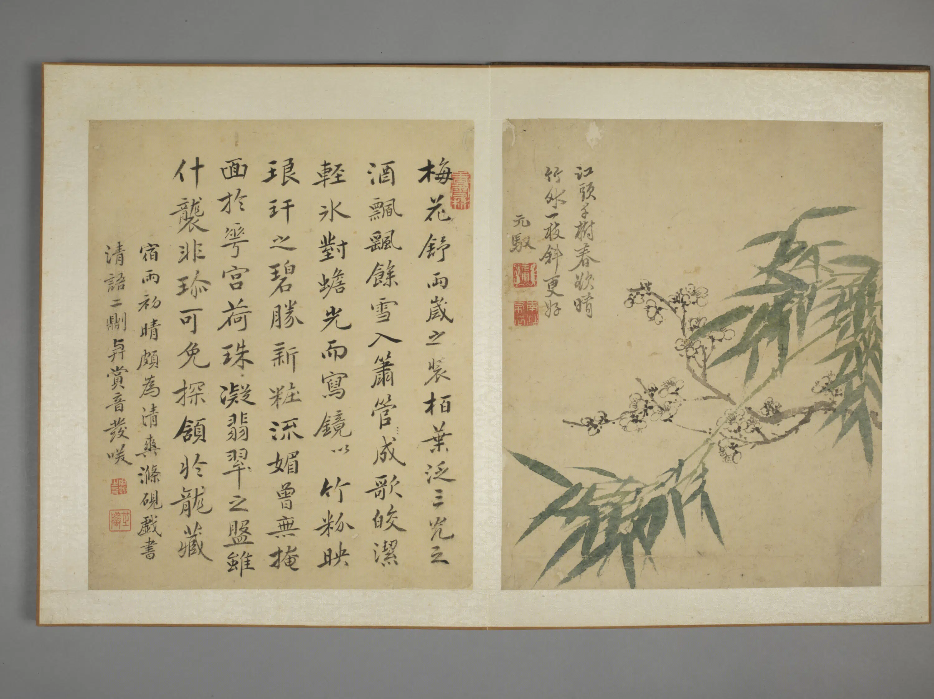 清代【马元驭】《花鸟图册》 第8张