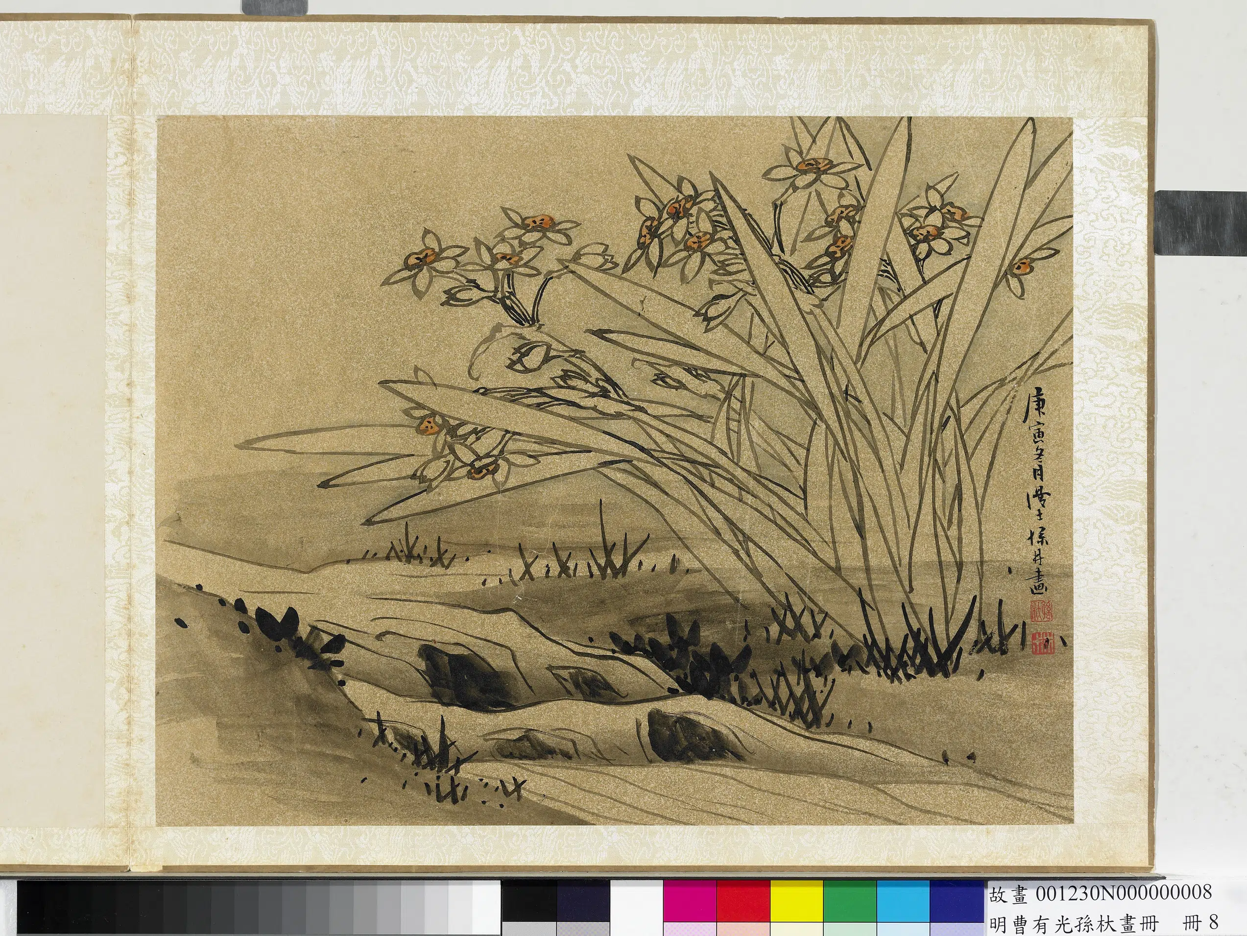 明朝【孙杕】《明曹有光孙杕画册-画水仙》