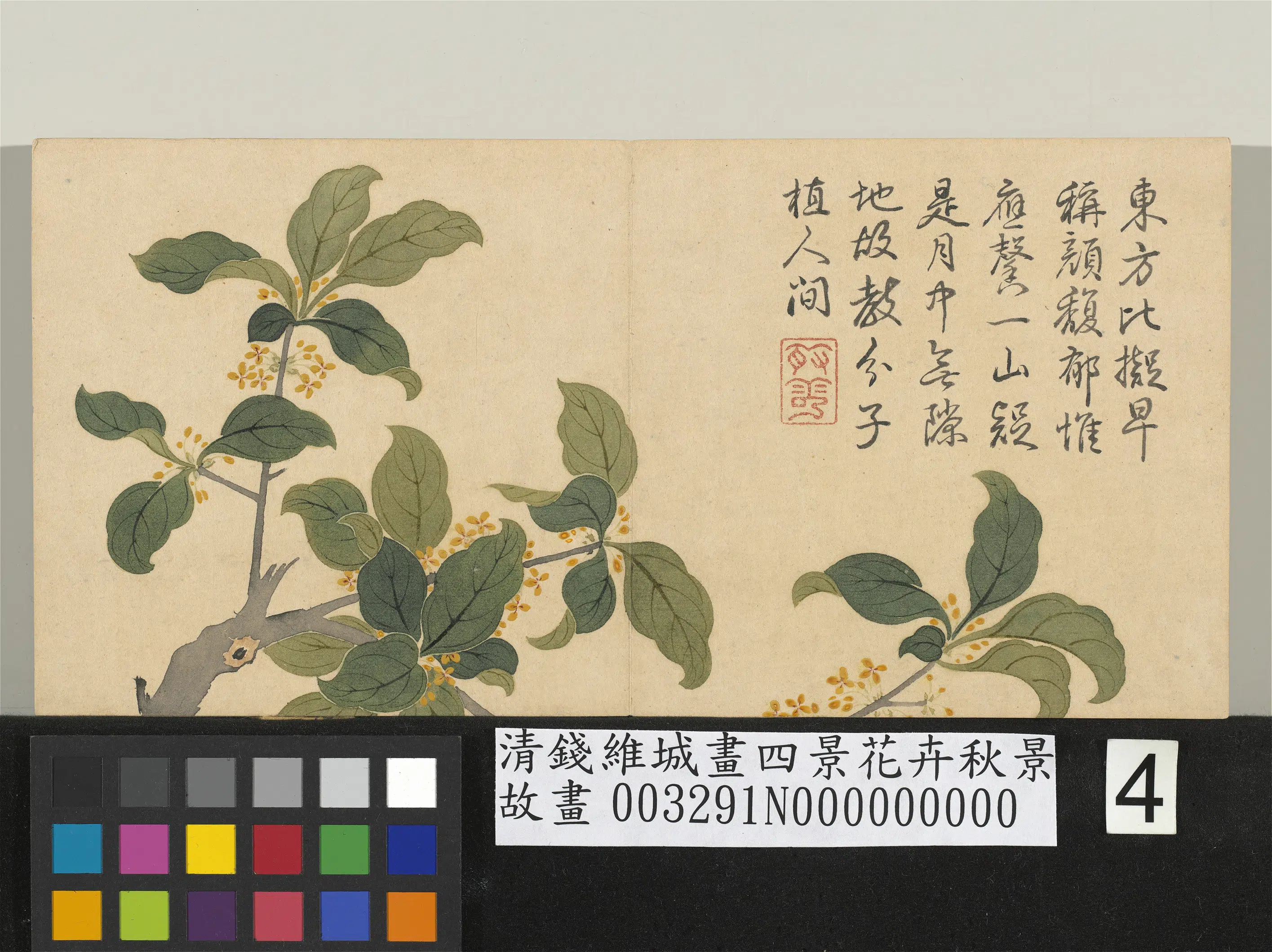 清代【钱维城】《画四景花卉秋景册》 第6张