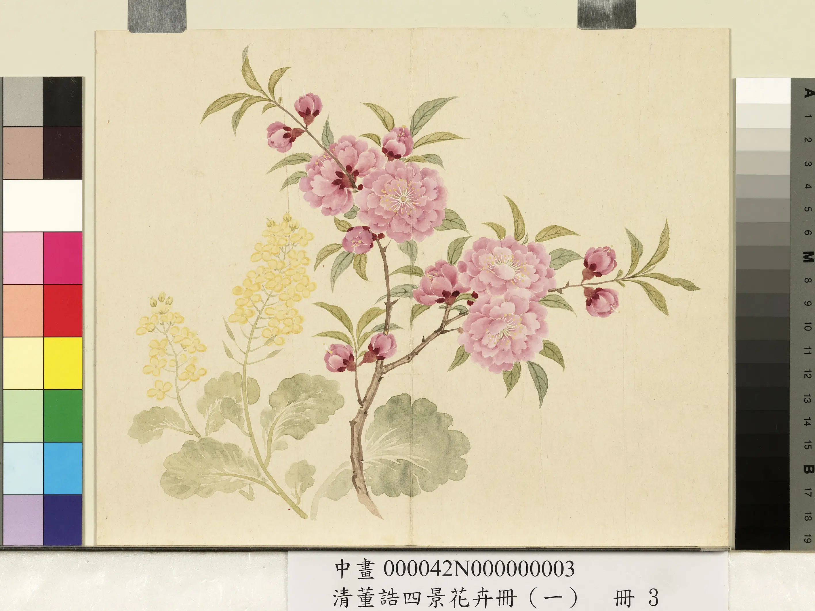 清代【董诰】《四景花卉(一)册-春景花卉之三》 第1张 清代【董诰】《四景花卉(一)册-春景花卉之三》 第1张