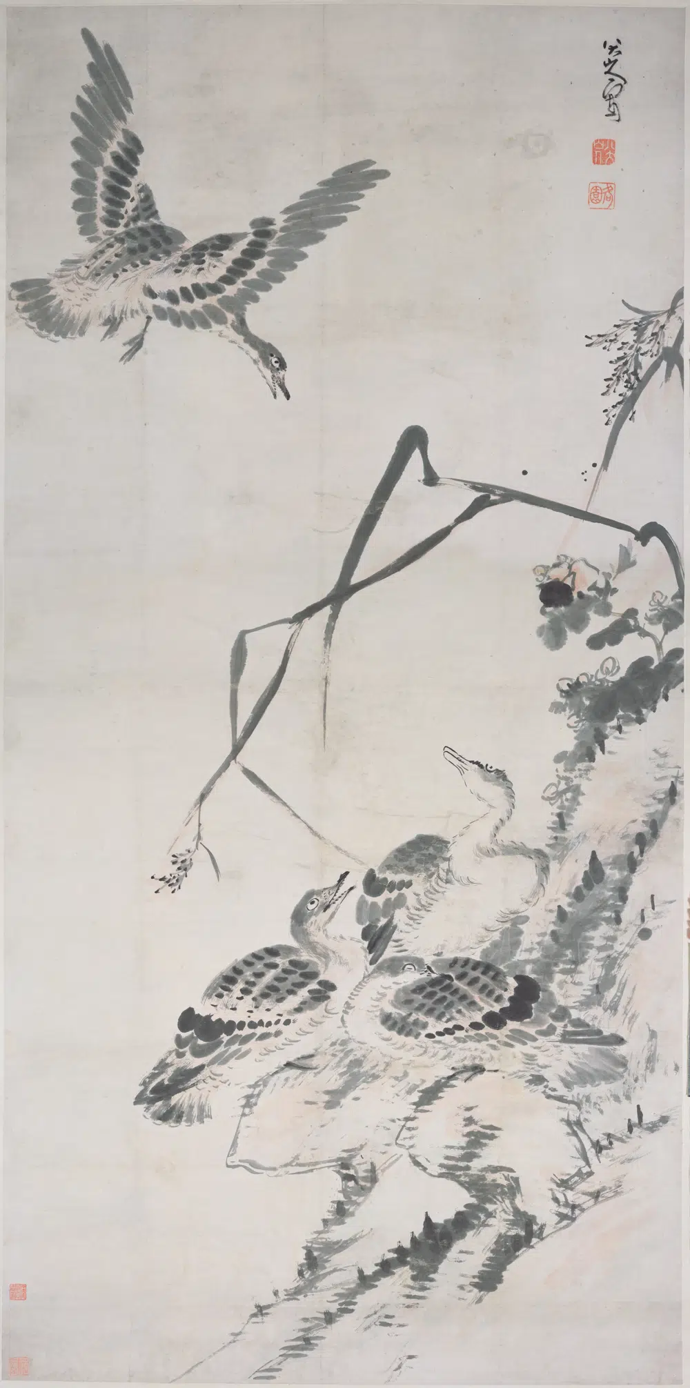 清代【朱耷】《芦雁图轴-3》