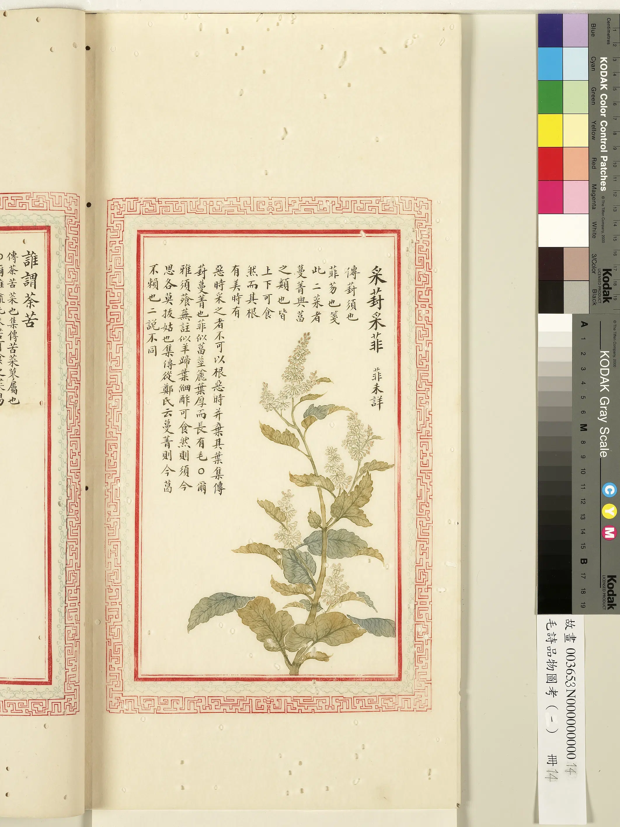 清代《毛诗品物图考(一)册-1》 第52张 清代《毛诗品物图考(一)册-1》 第52张