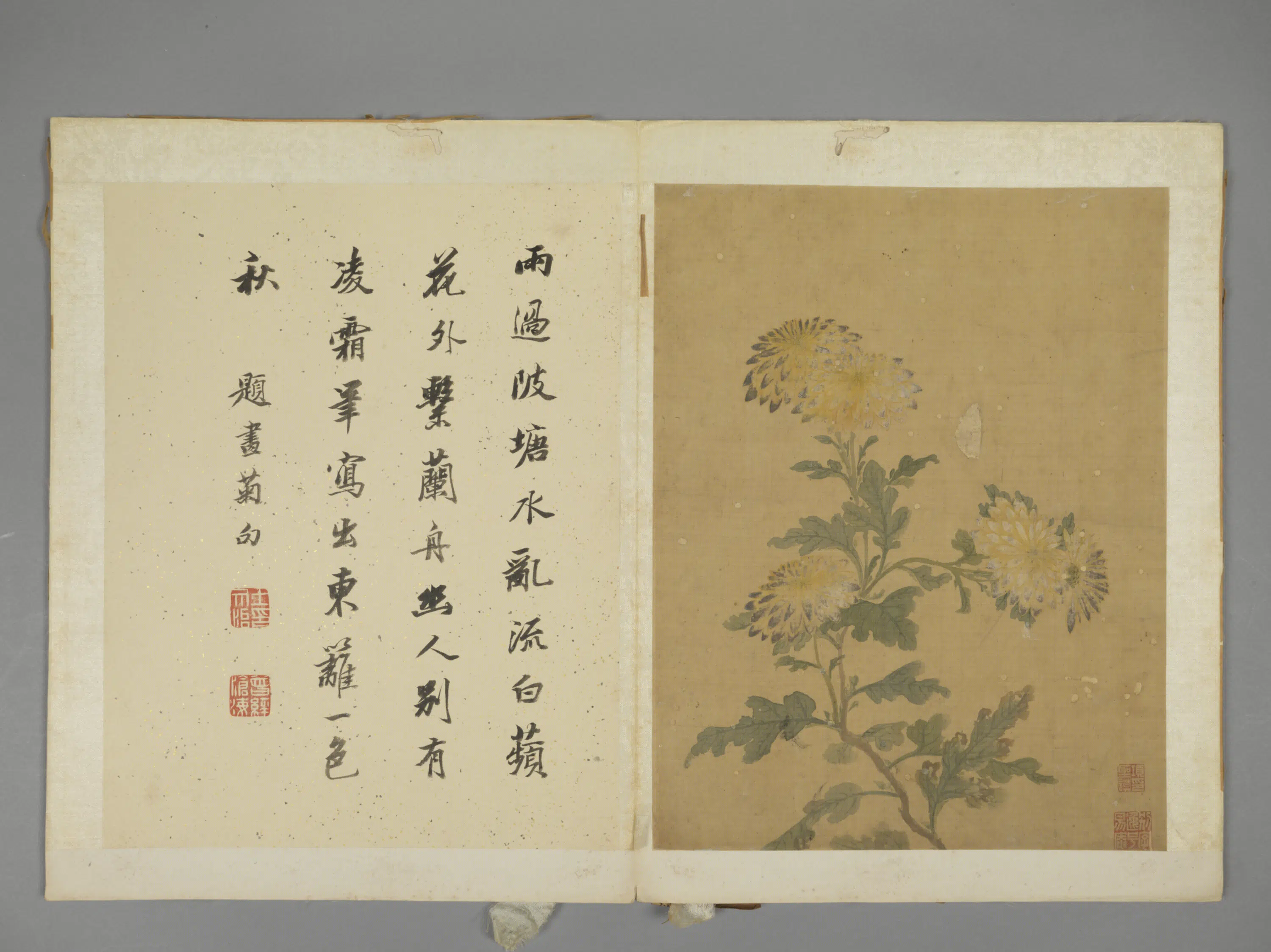 明朝【项圣谟】《花卉册（7开）》 第3张