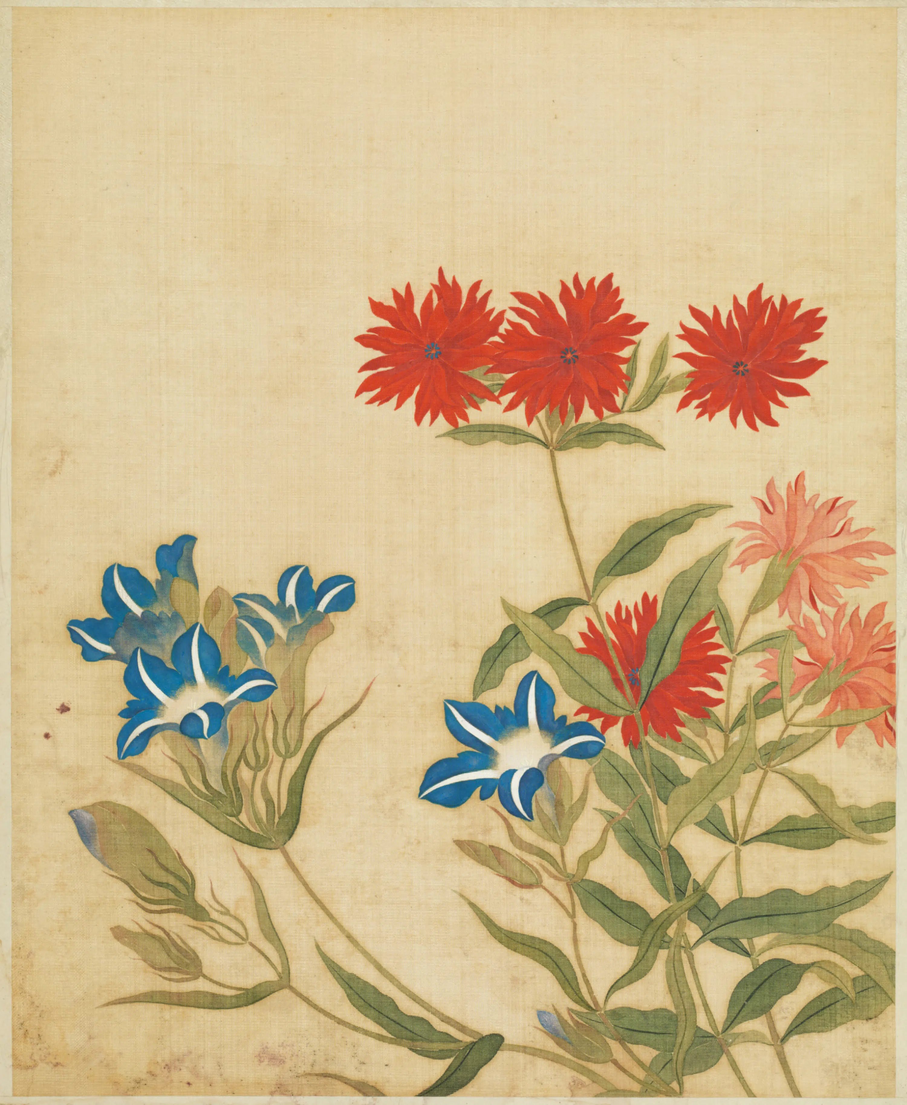 清代【范廷镇】《花卉图册》 第5张