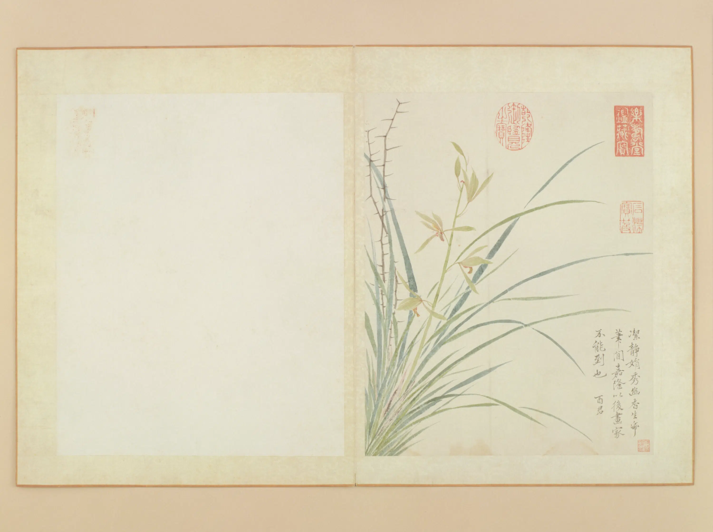 清代【蒋廷锡】《蒋淑临花卉册》