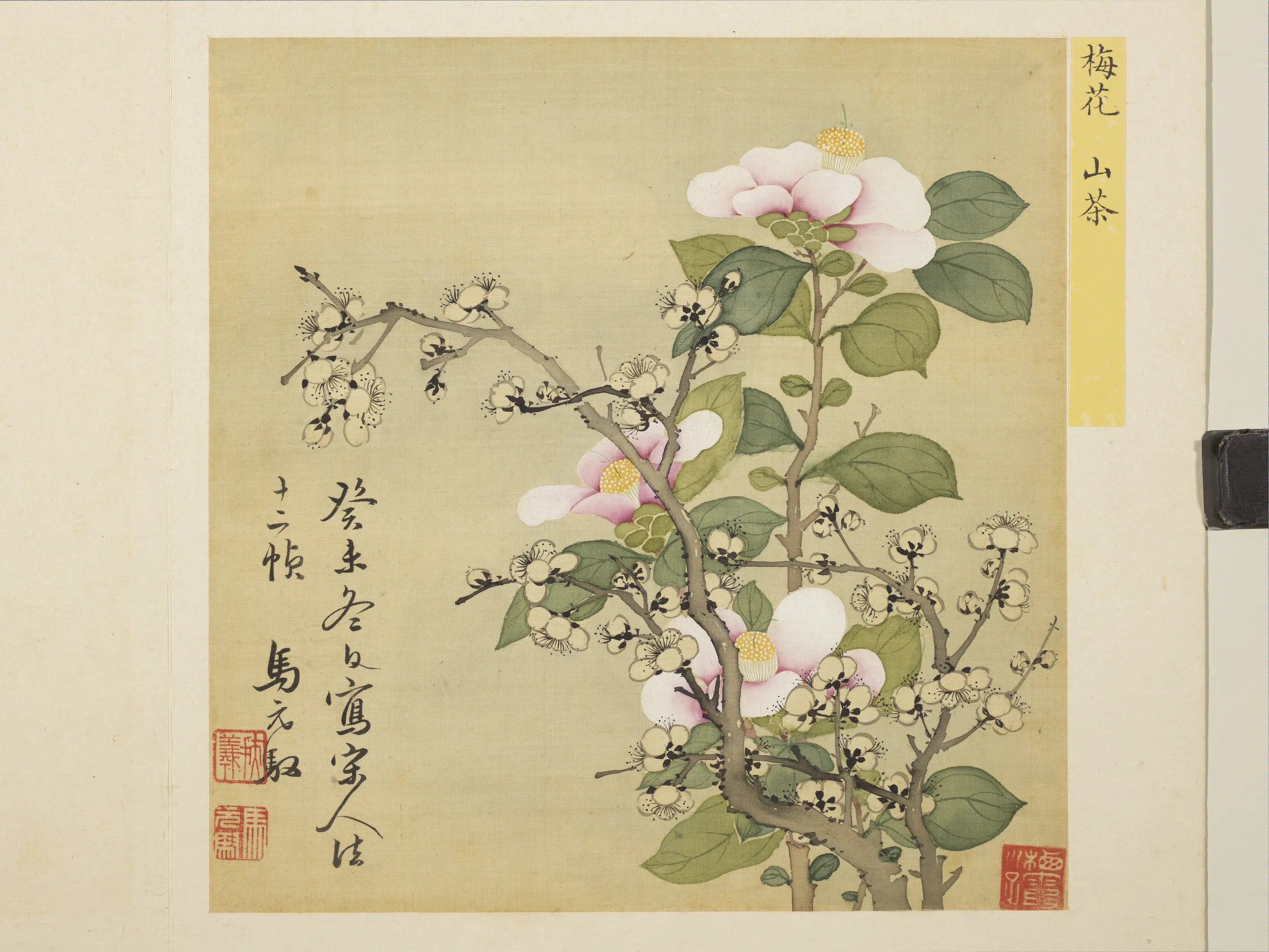 清朝【马元驭】《花卉册》 第3张 清朝【马元驭】《花卉册》 第3张