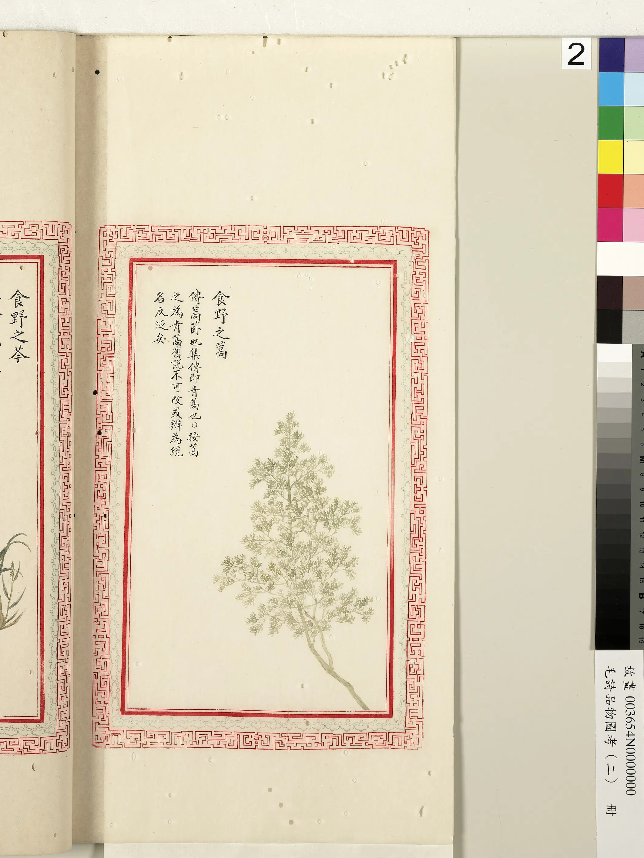 清代《毛诗品物图考(二)册-1》 第65张 清代《毛诗品物图考(二)册-1》 第65张