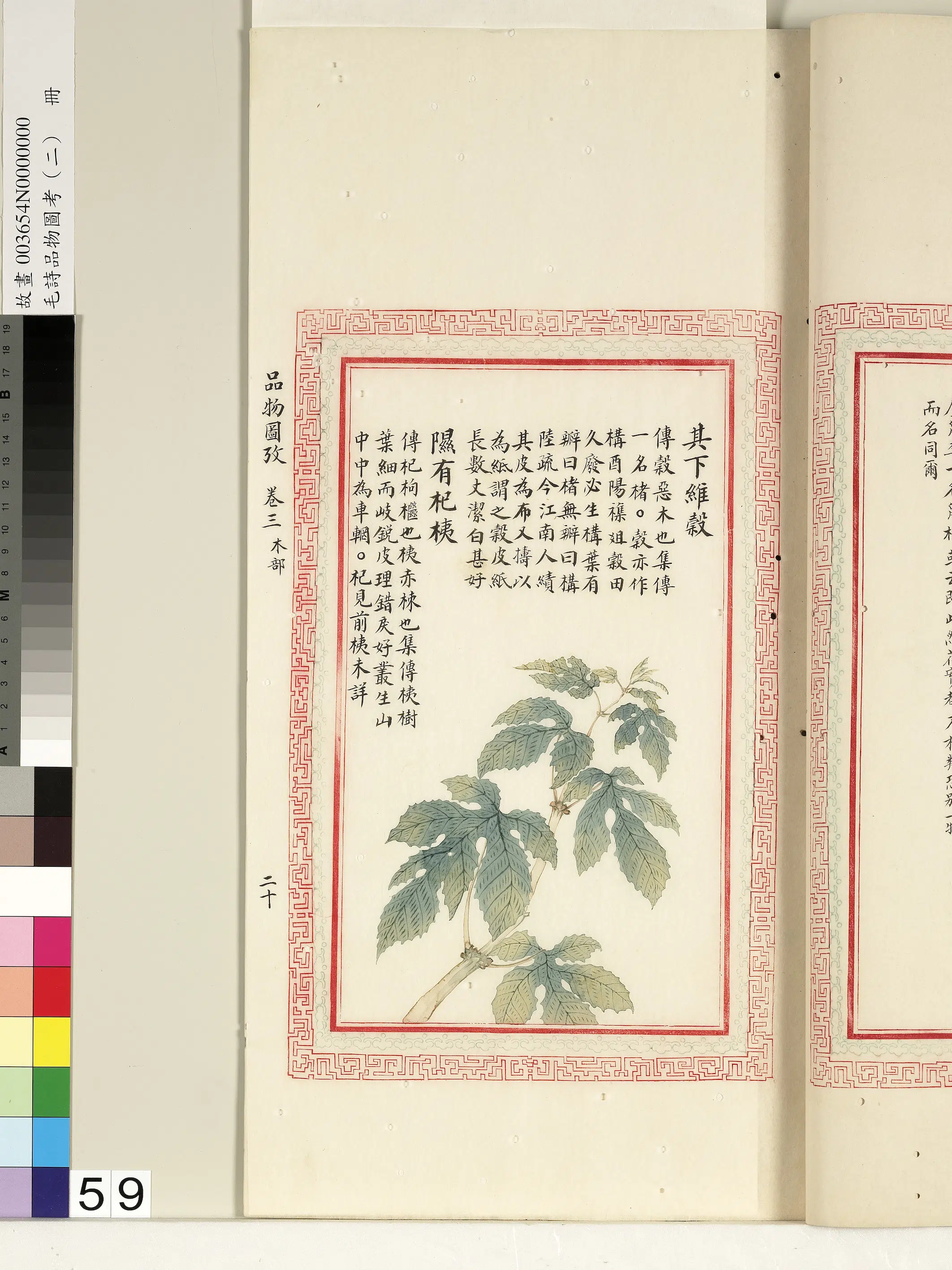 清朝【佚名】《毛诗品物图考（二）册-其下维谷隰有杞桋-1》