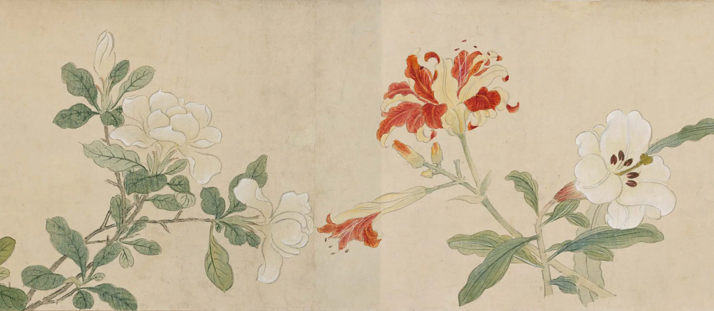 明朝【孙克弘】《设色花卉卷》 第6张 明朝【孙克弘】《设色花卉卷》 第6张