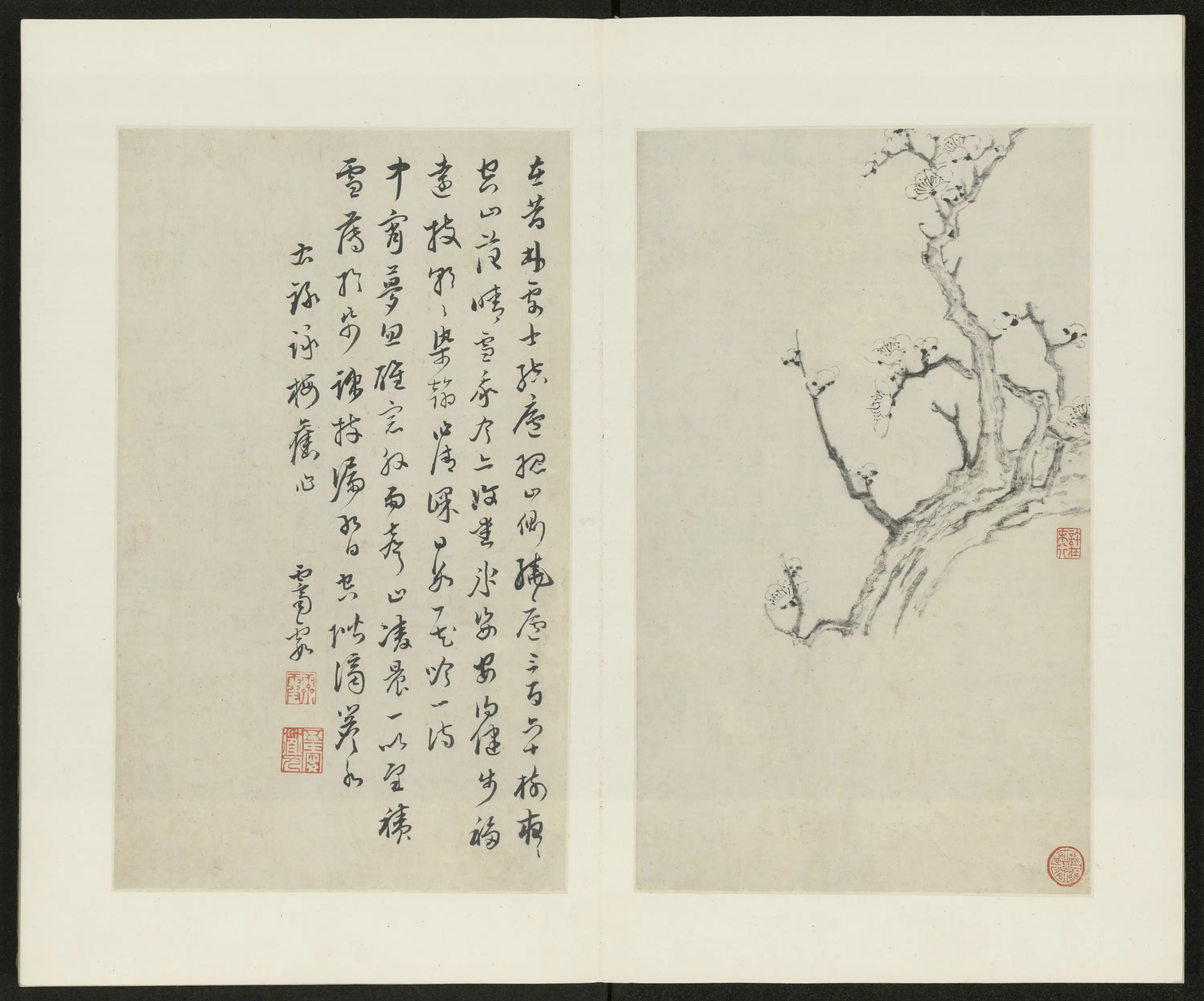 清代【金俊明】《梅花图册-1》 第4张