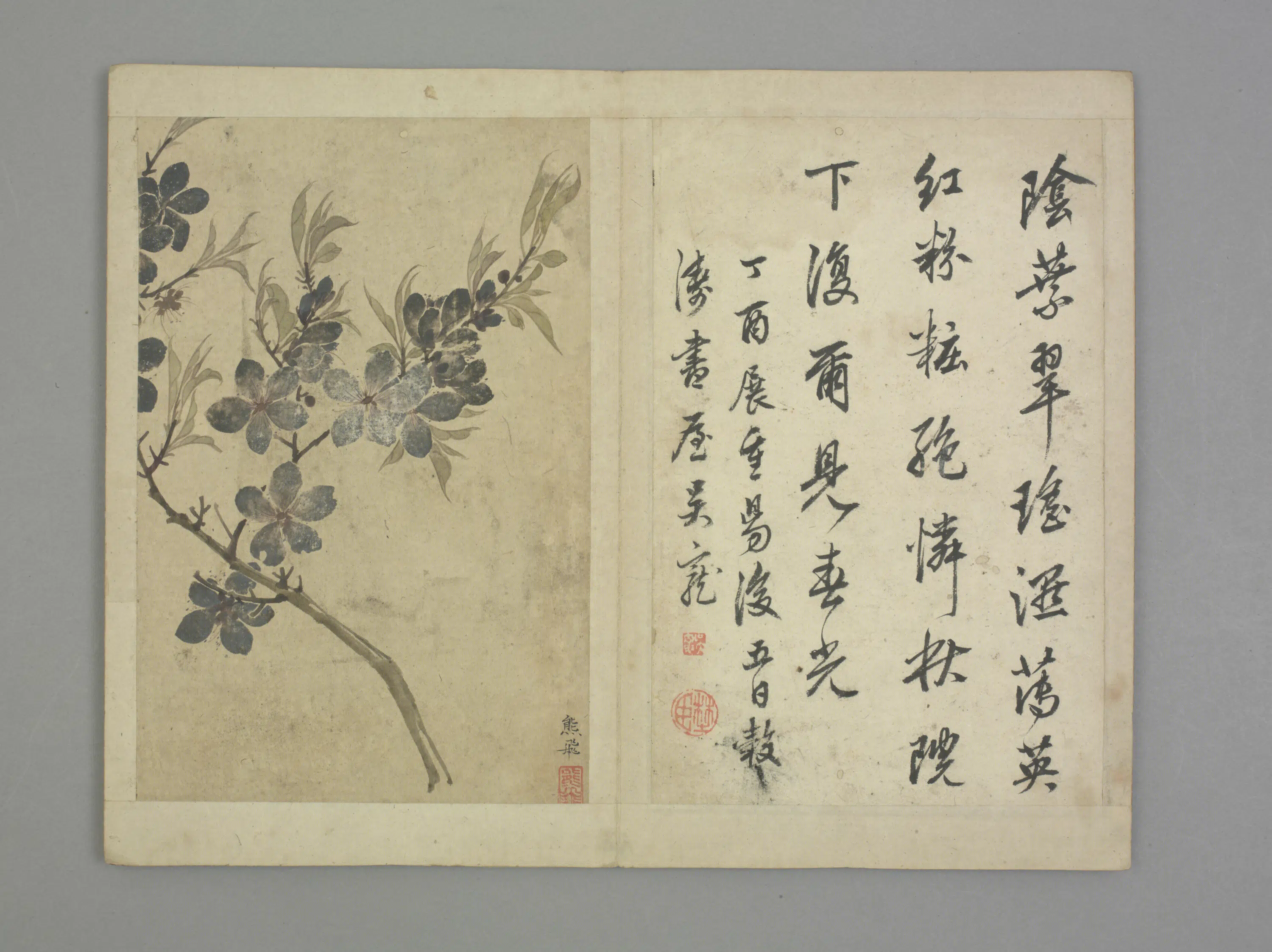 清代【熊飞】《清初十四家书画集锦册-花卉册页》 第1张
