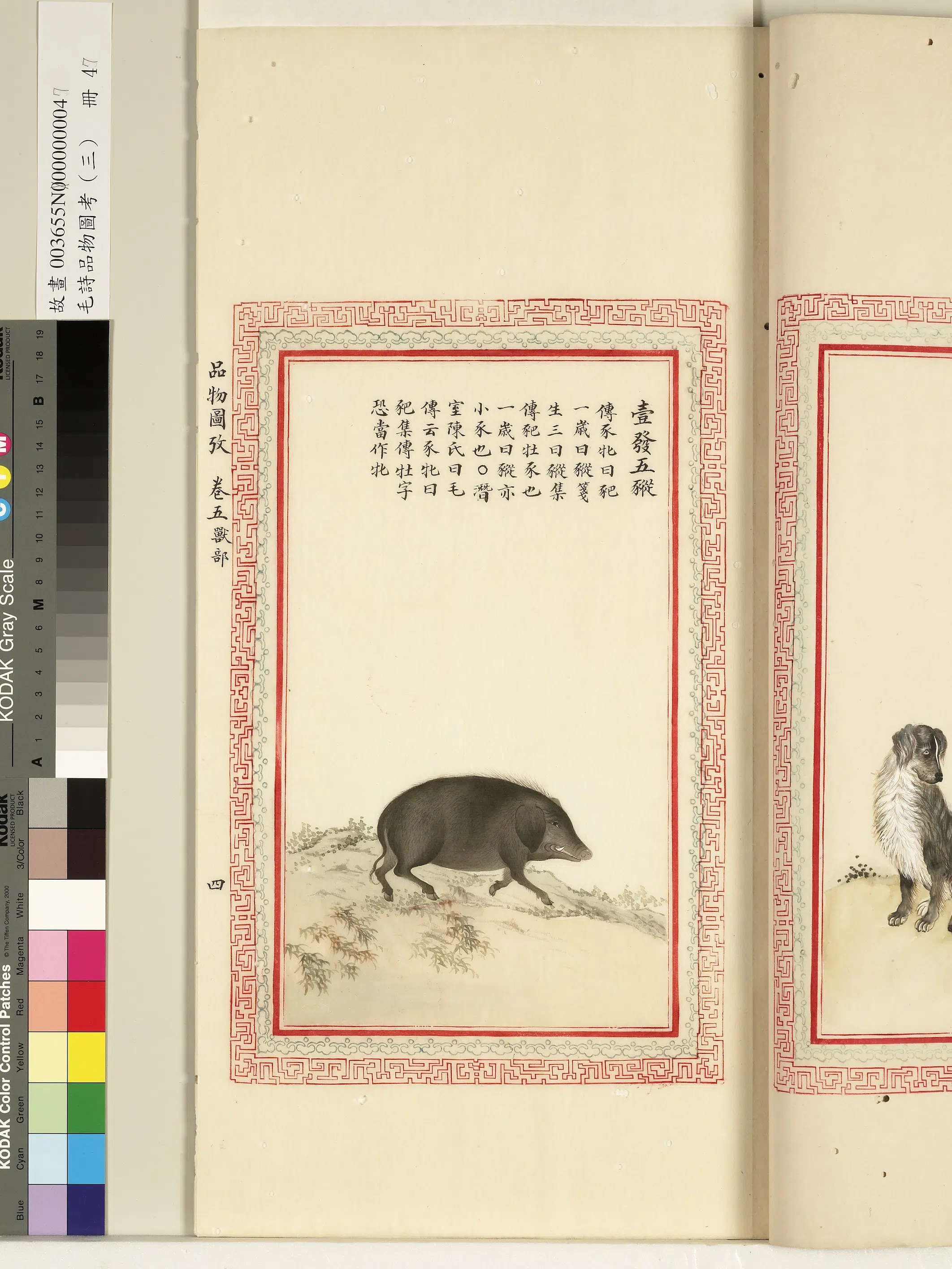 清代《毛诗品物图考(三)册-1》 第12张 清代《毛诗品物图考(三)册-1》 第12张