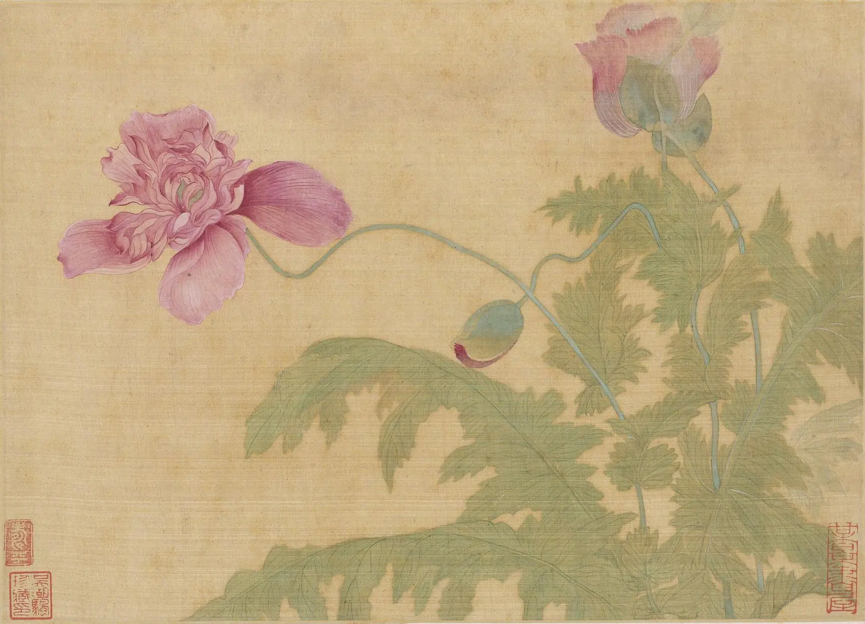 清代【恽寿平】《花卉图册(十开)》 第3张 清代【恽寿平】《花卉图册(十开)》 第3张