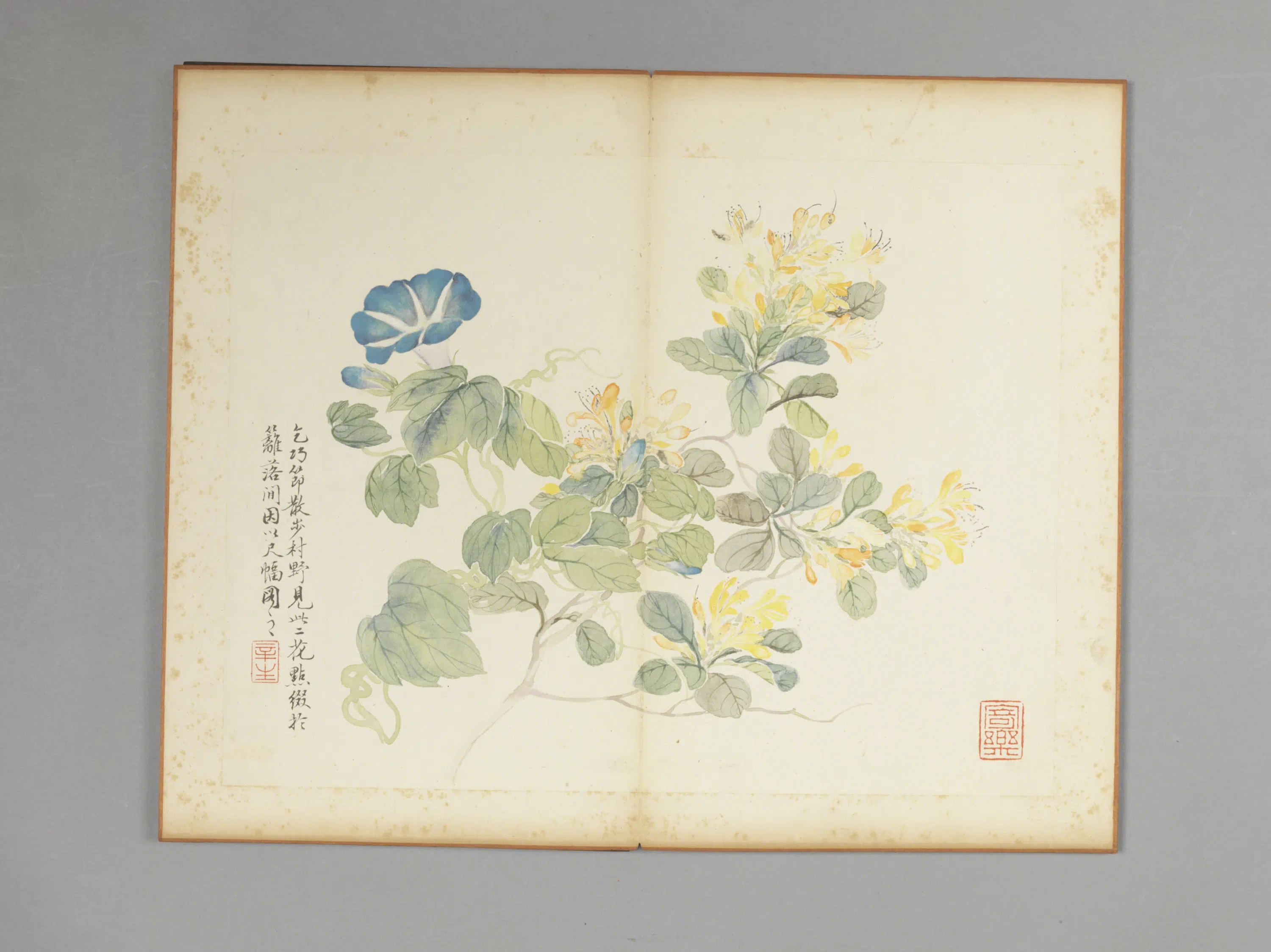 清代【吴楷】《花卉册》 第4张