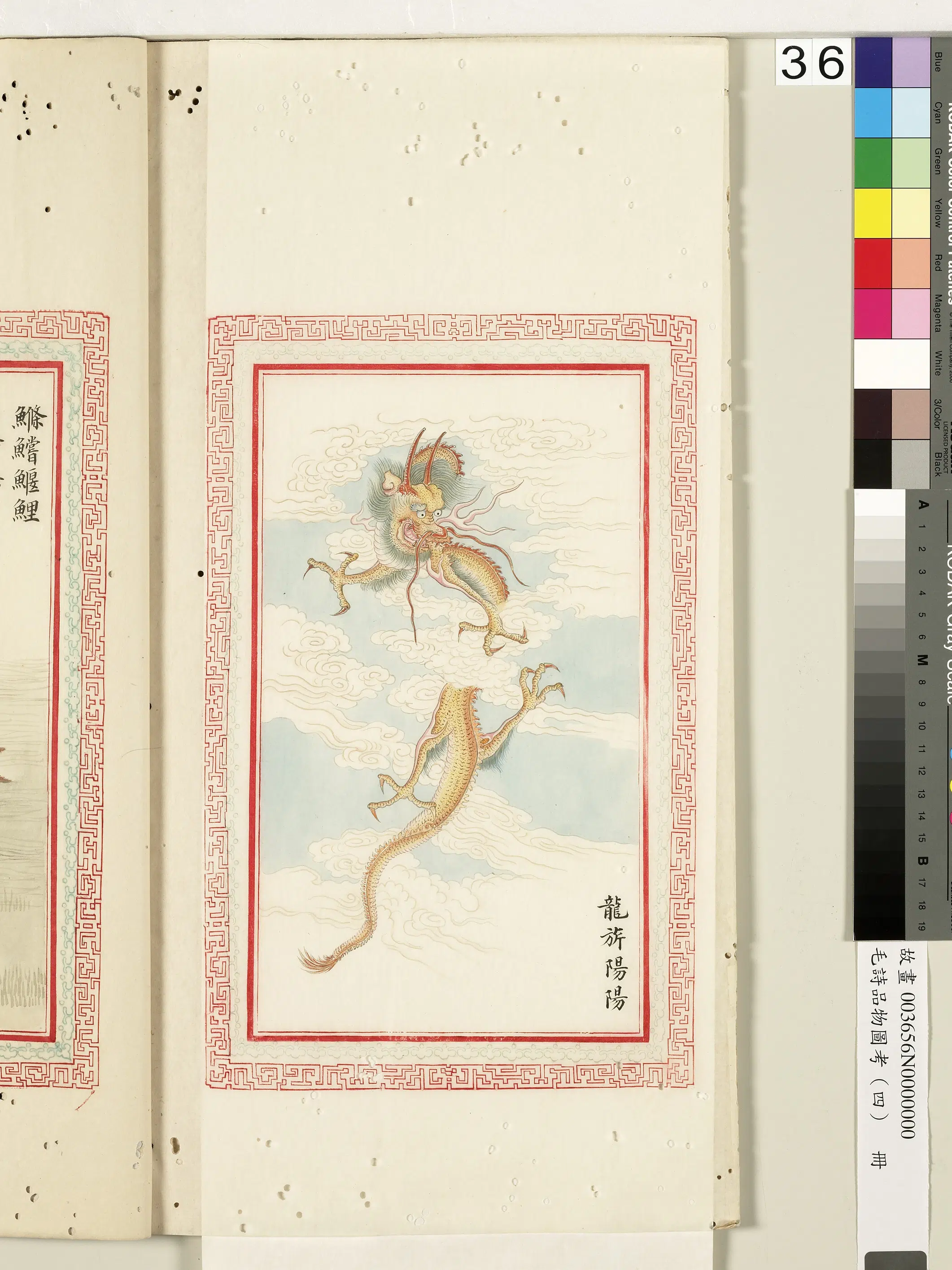 清代《毛诗品物图考（四）册-1》 第36张