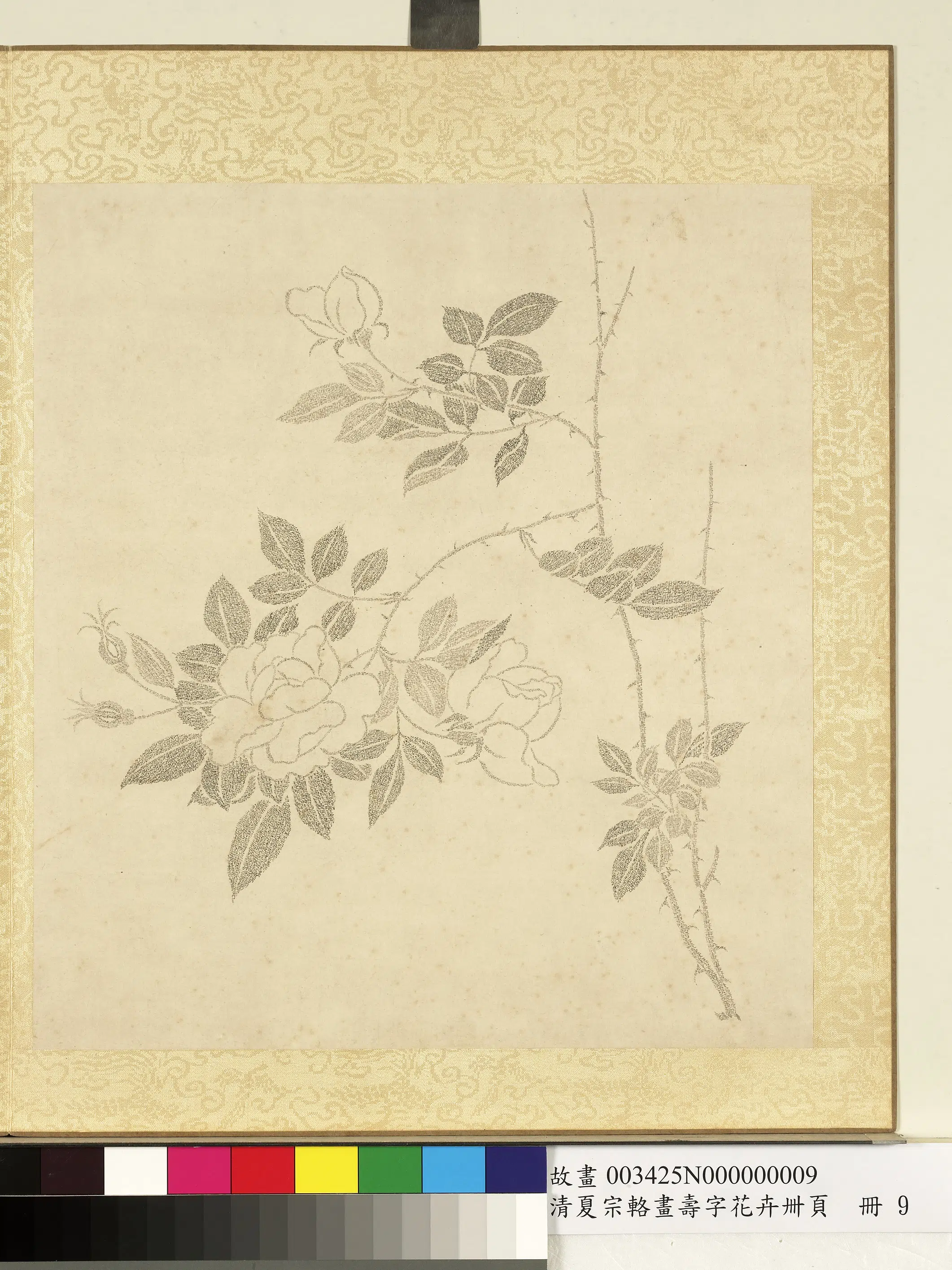清代【夏宗辂】《画寿字花卉册-月季》