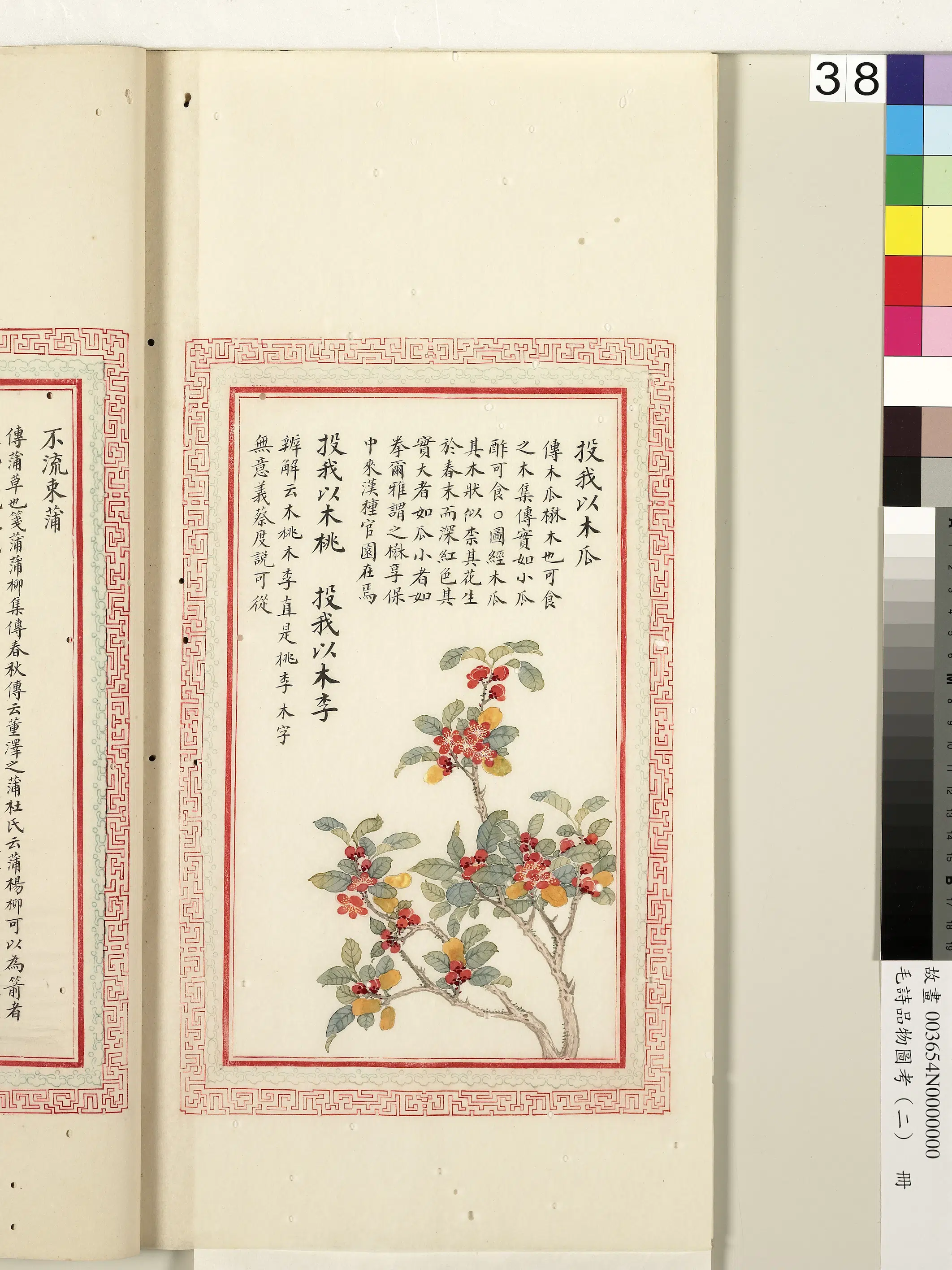 清代《毛诗品物图考(二)册-1》 第22张 清代《毛诗品物图考(二)册-1》 第22张