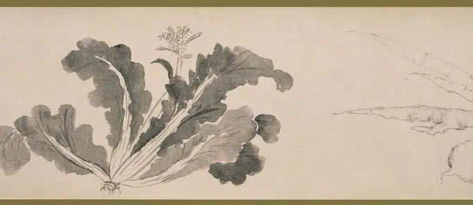明朝【沈周】《花果图卷》 第6张
