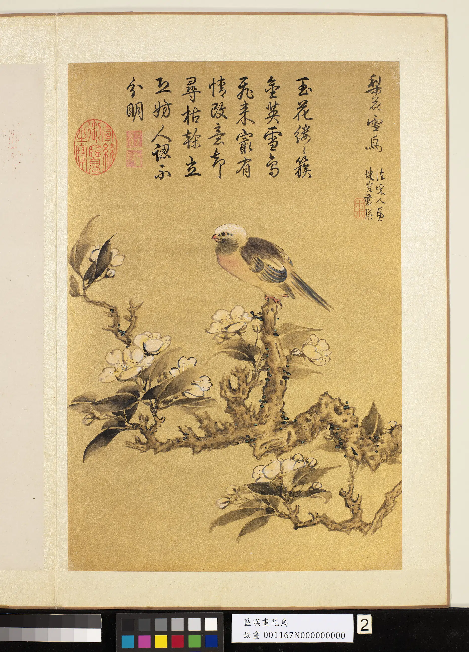 明朝【蓝瑛】《画花鸟册-白头翁鸟》