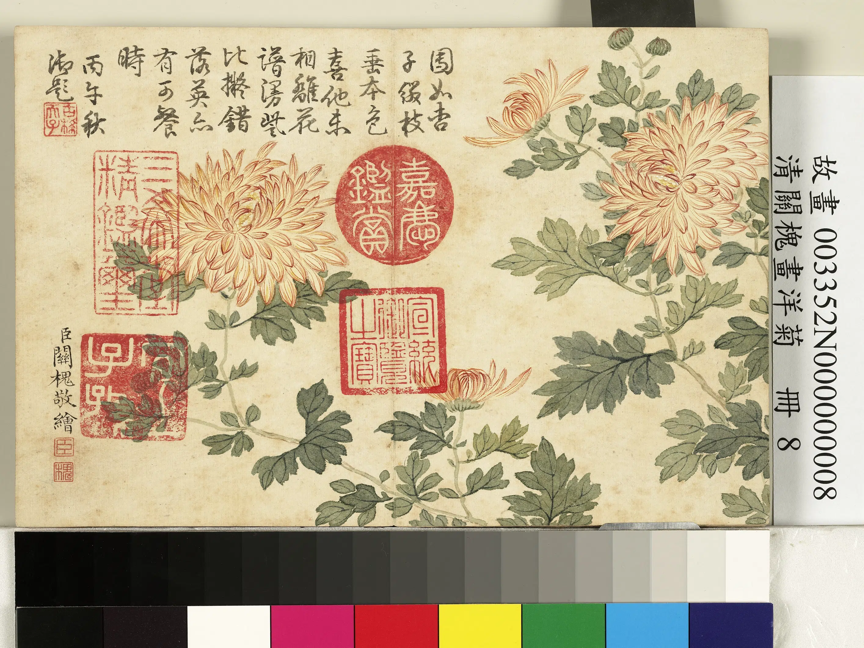 清代【关槐】《画洋菊册-杏子黄》