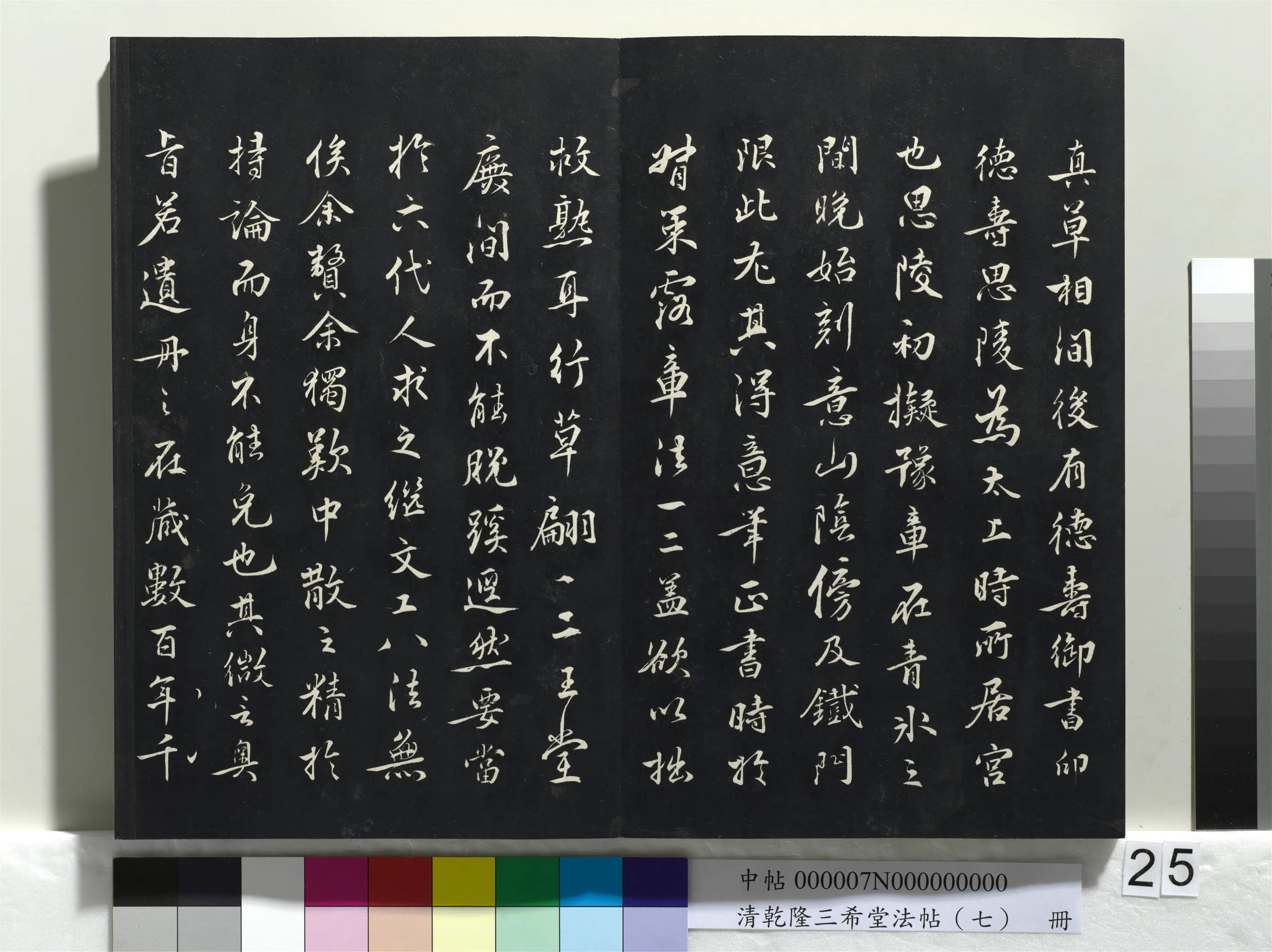 南宋【赵构-宋高宗】《乾隆三希堂法帖（七）册-宋高宗真草书嵇康养生论》 第16张