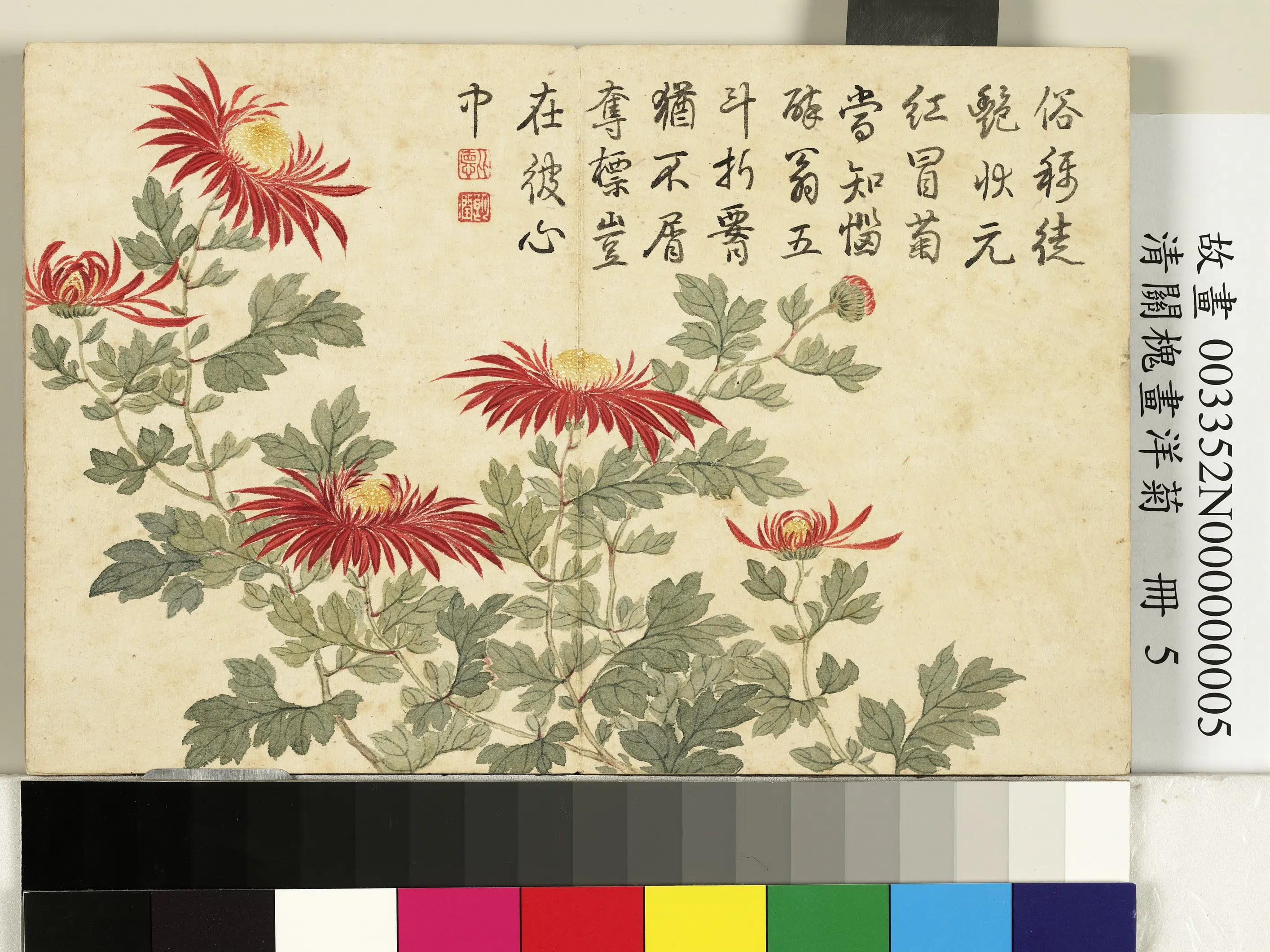 清代【关槐】《画洋菊册-夺锦标》