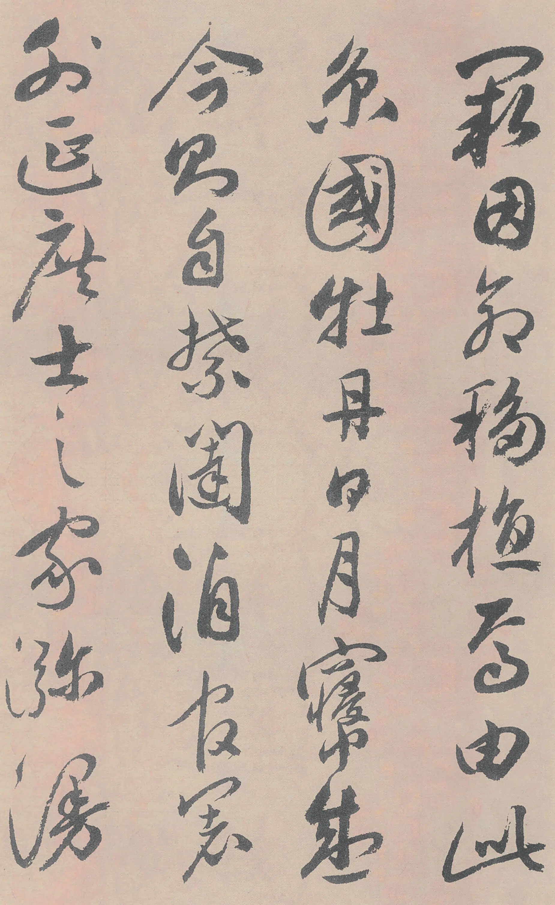 明朝【祝允明】《牡丹赋》 第13张