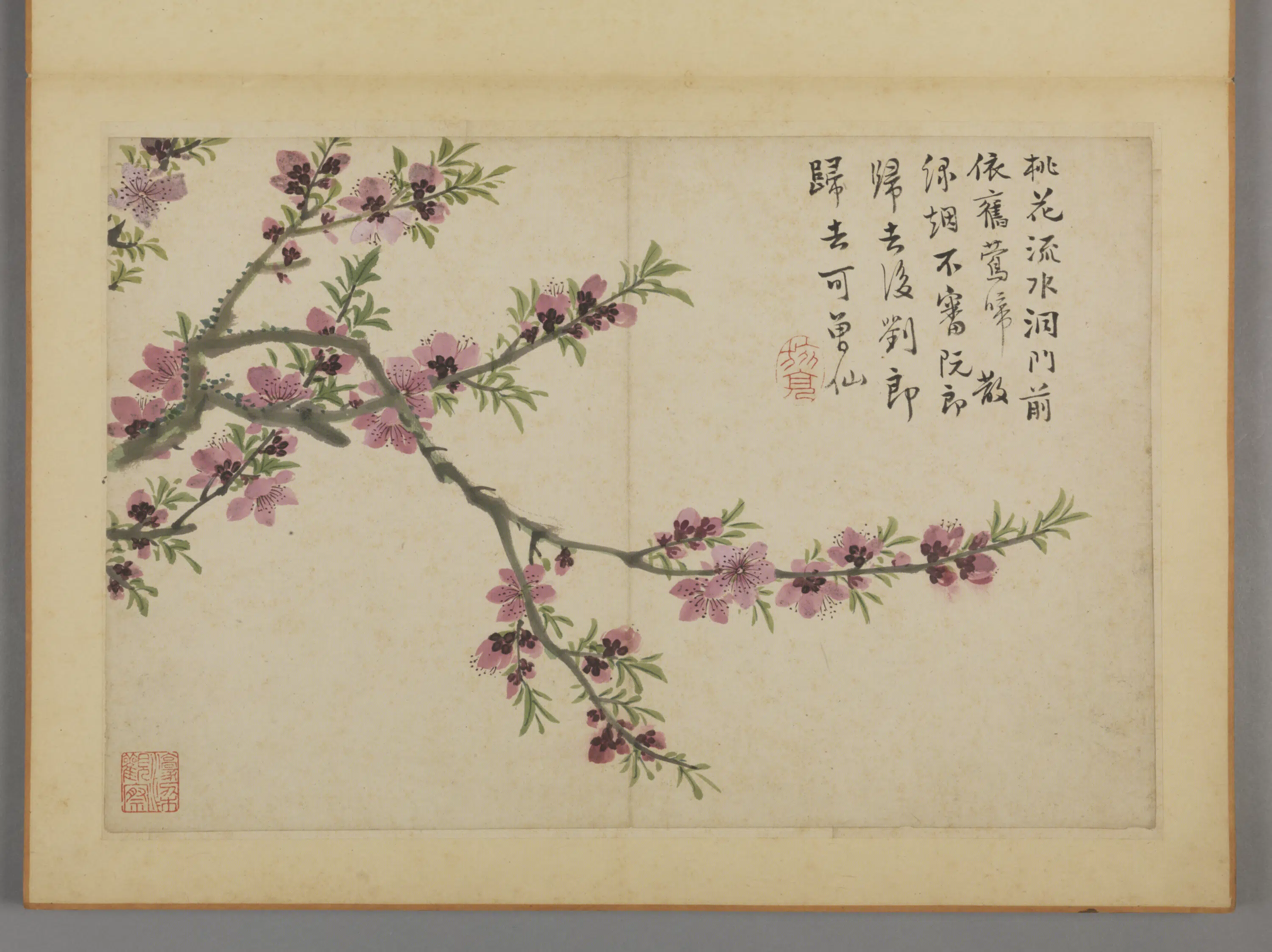 清代【蔡嘉】《花卉图册（12开）》 第7张