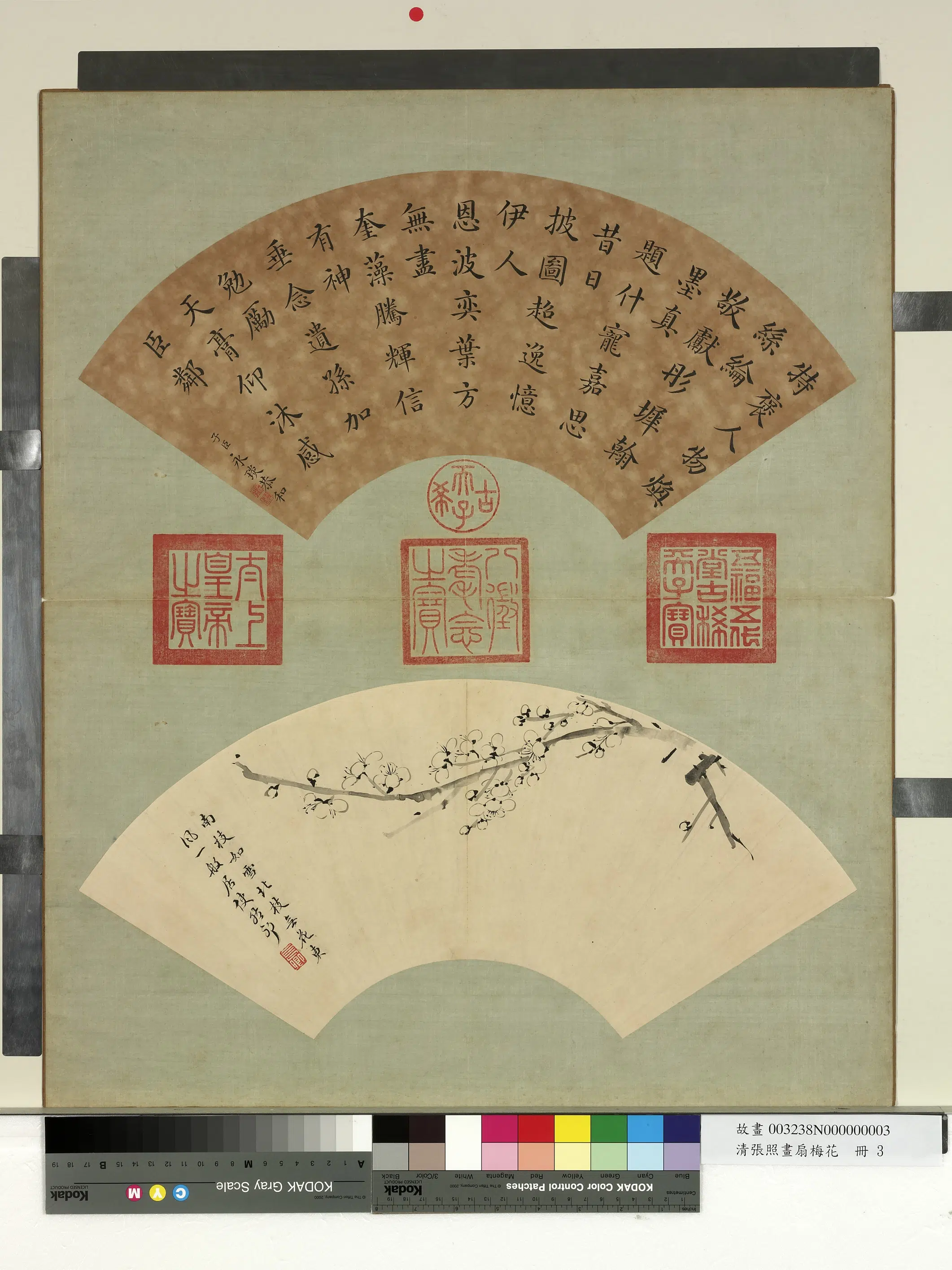 清代【张照】《画扇梅花册-梅花（三）》