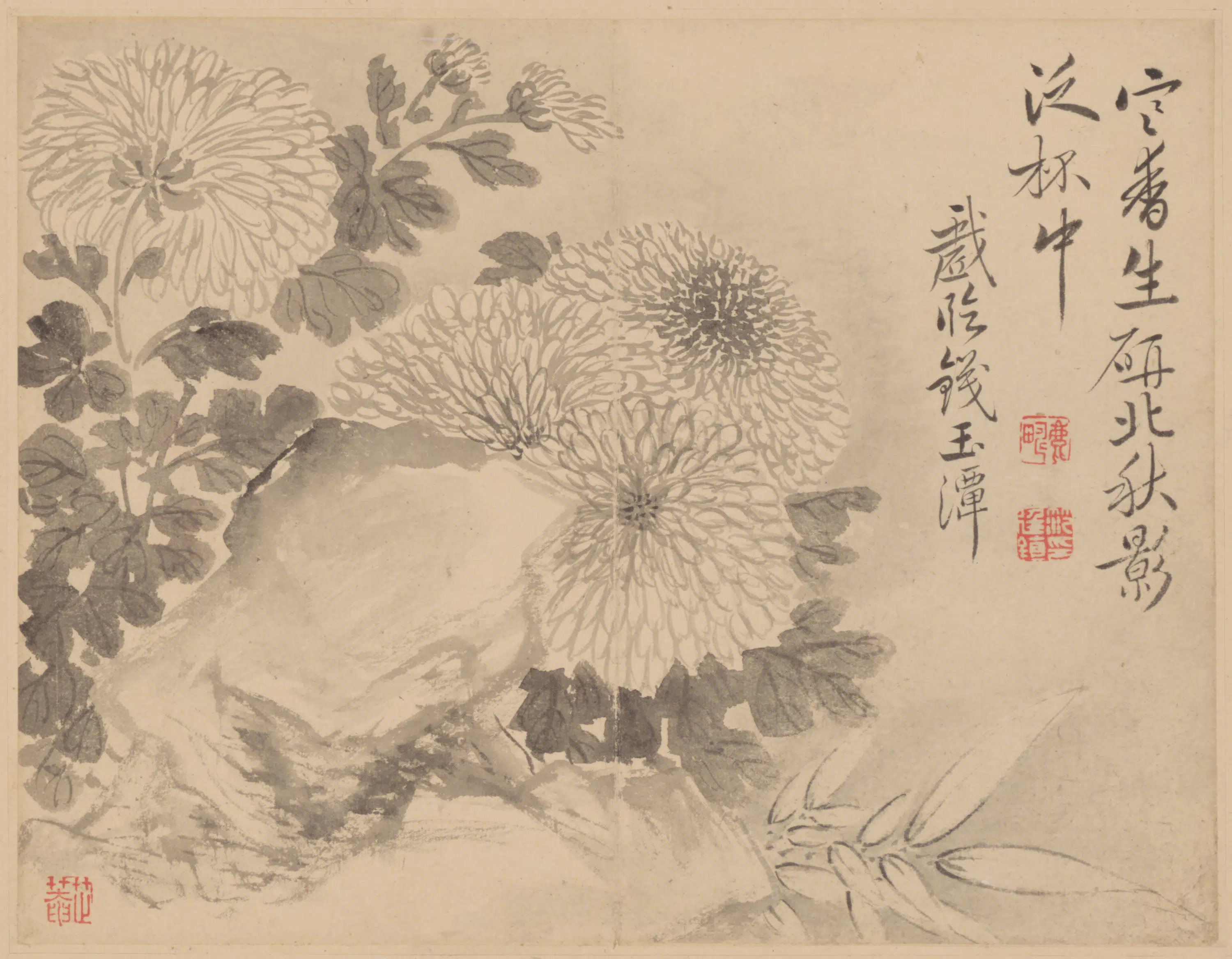 清代【范廷镇】《花卉册》 第3张 清代【范廷镇】《花卉册》 第3张